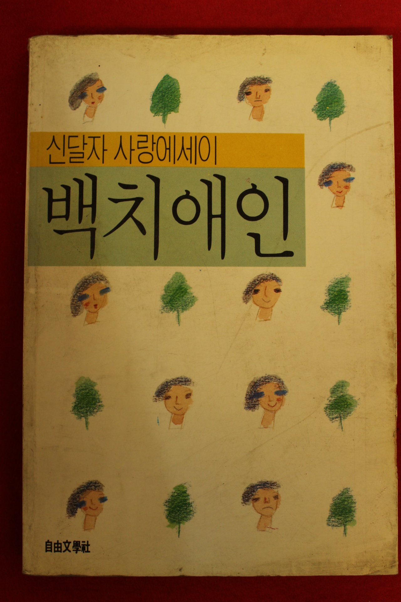 1989년 신달자에세이 백치애인