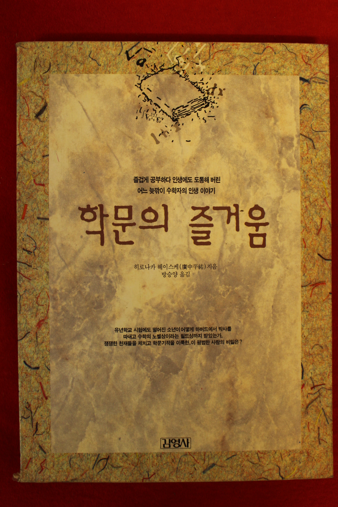 1993년 히로나카 헤이스케 학문의 즐거움