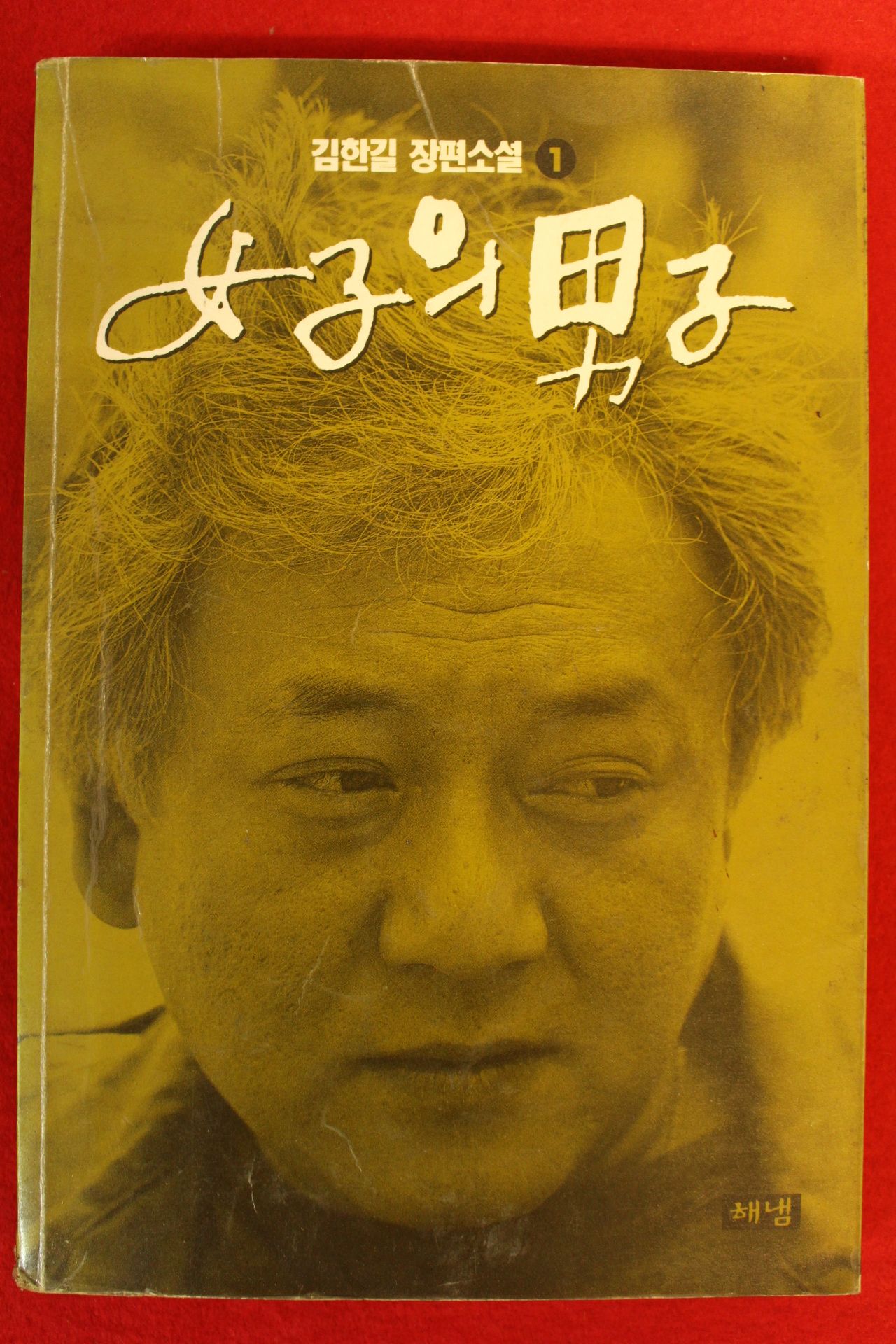 1993년 김한길소설 여자의 남자 1