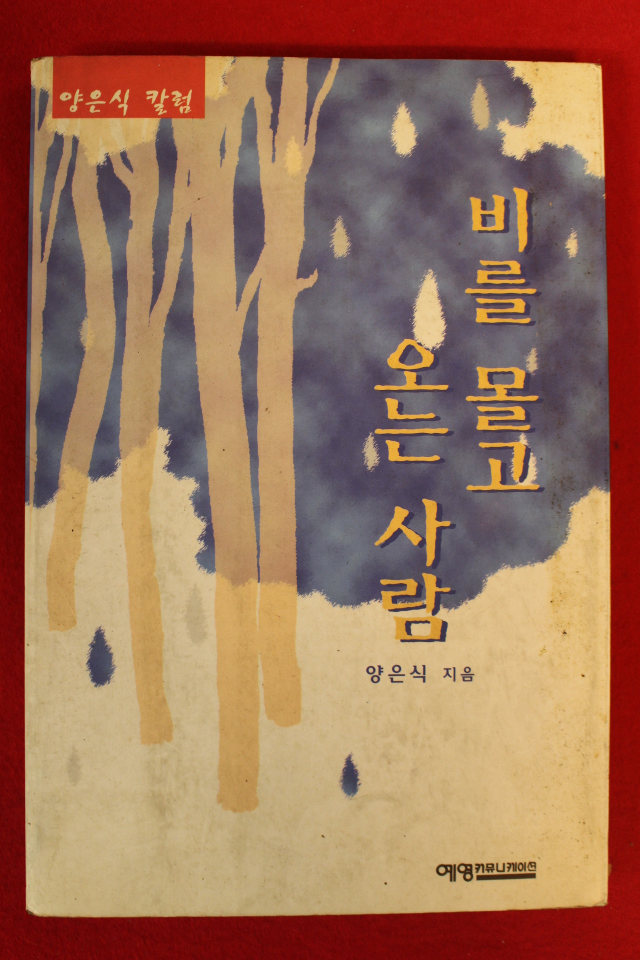 1998년 양은식 비를 몰고 오는 사람
