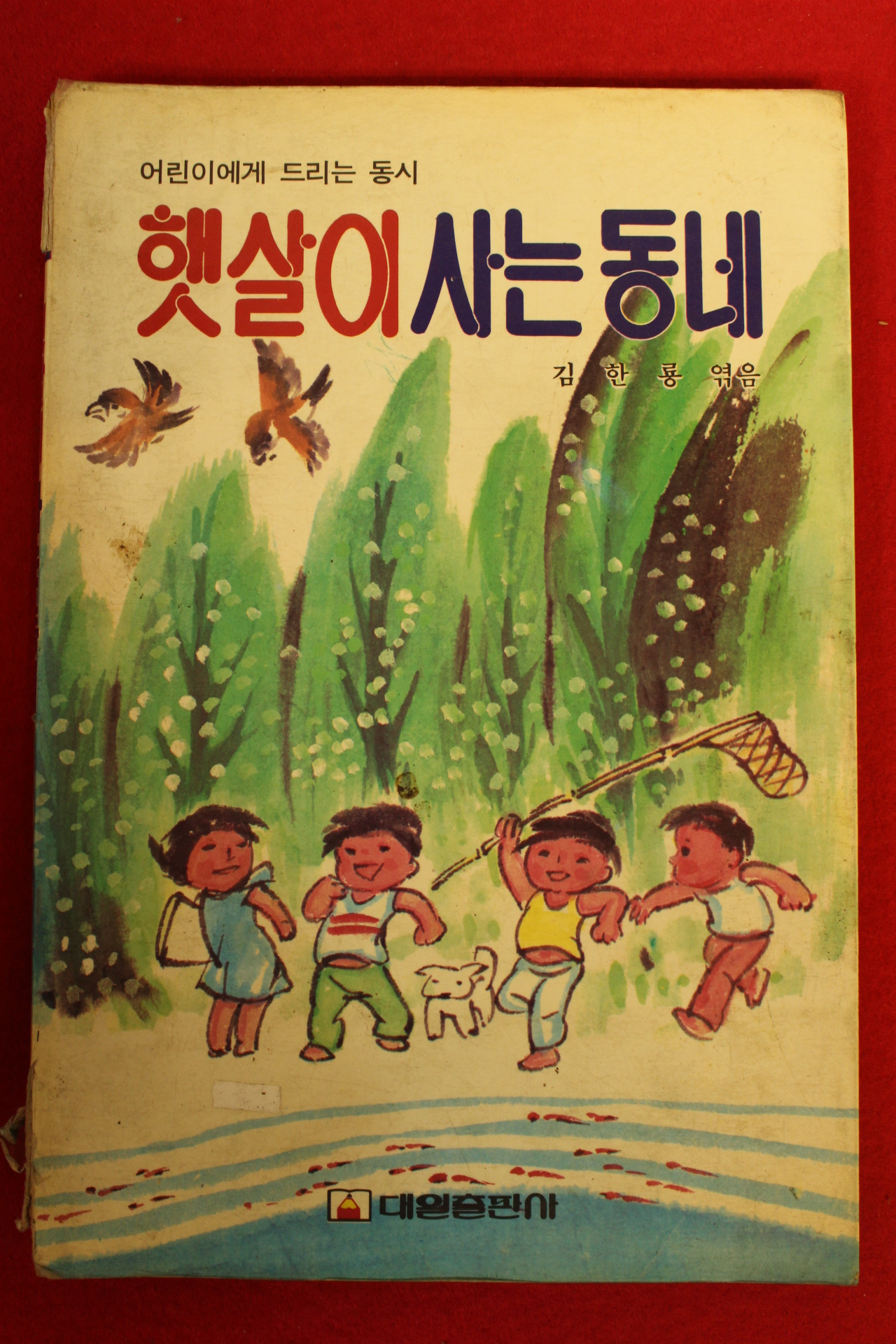 1987년 김한룡 햇살이사는 동네