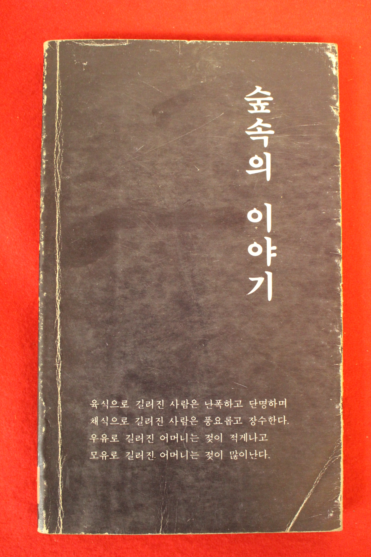 1983년 고성훈 숲속의 이야기