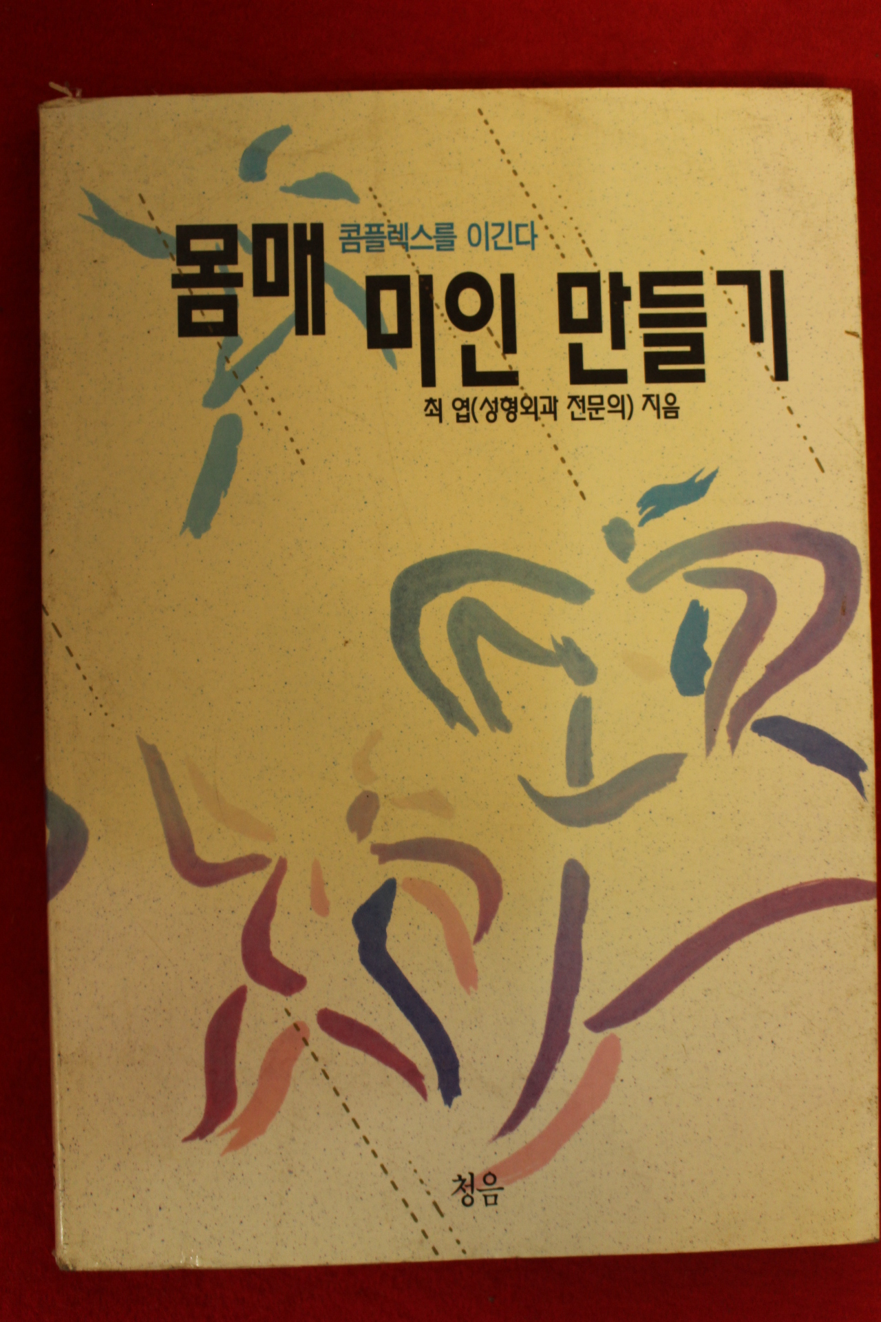 1995년 최엽 몸매 미인만들기