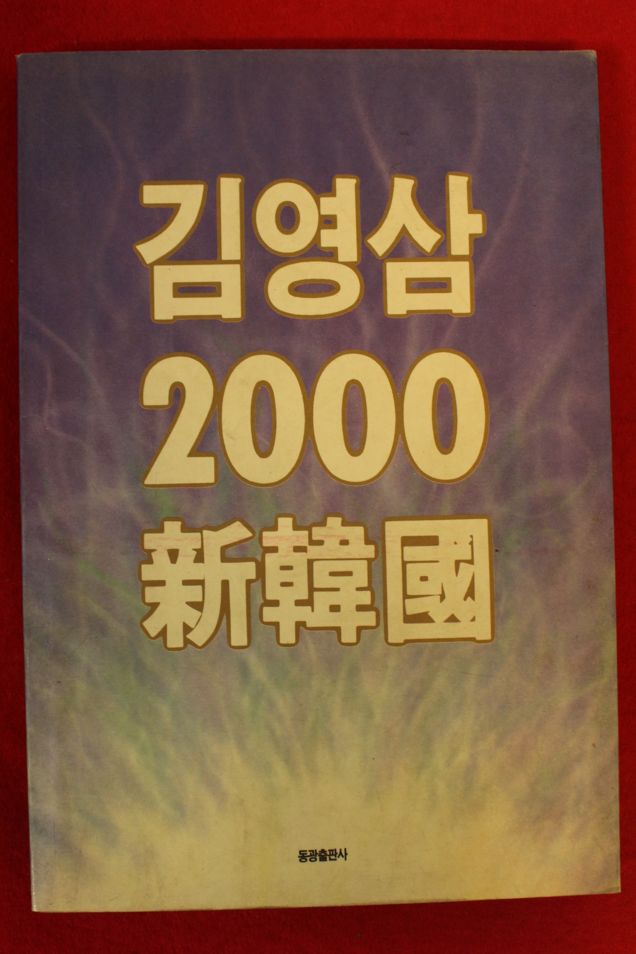 1992년초판 김영삼 2000 신한국