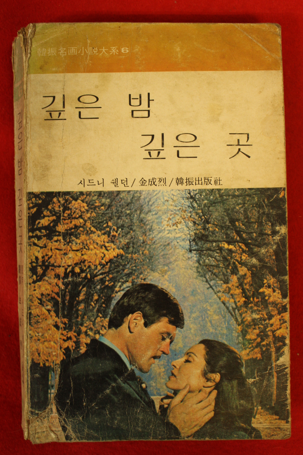 1979년 시드니 셀던 깊은밤 깊은곳