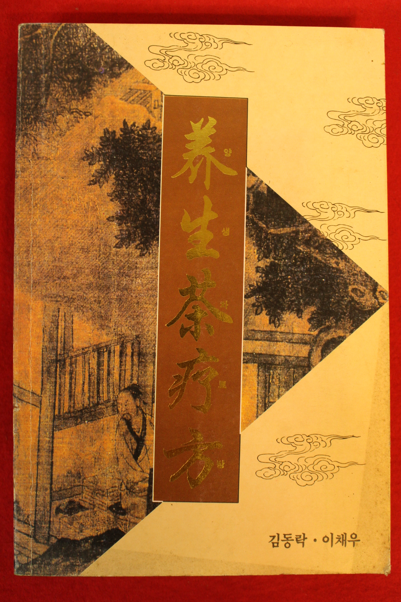 1995년초판 김동락,이채우 양생차료방