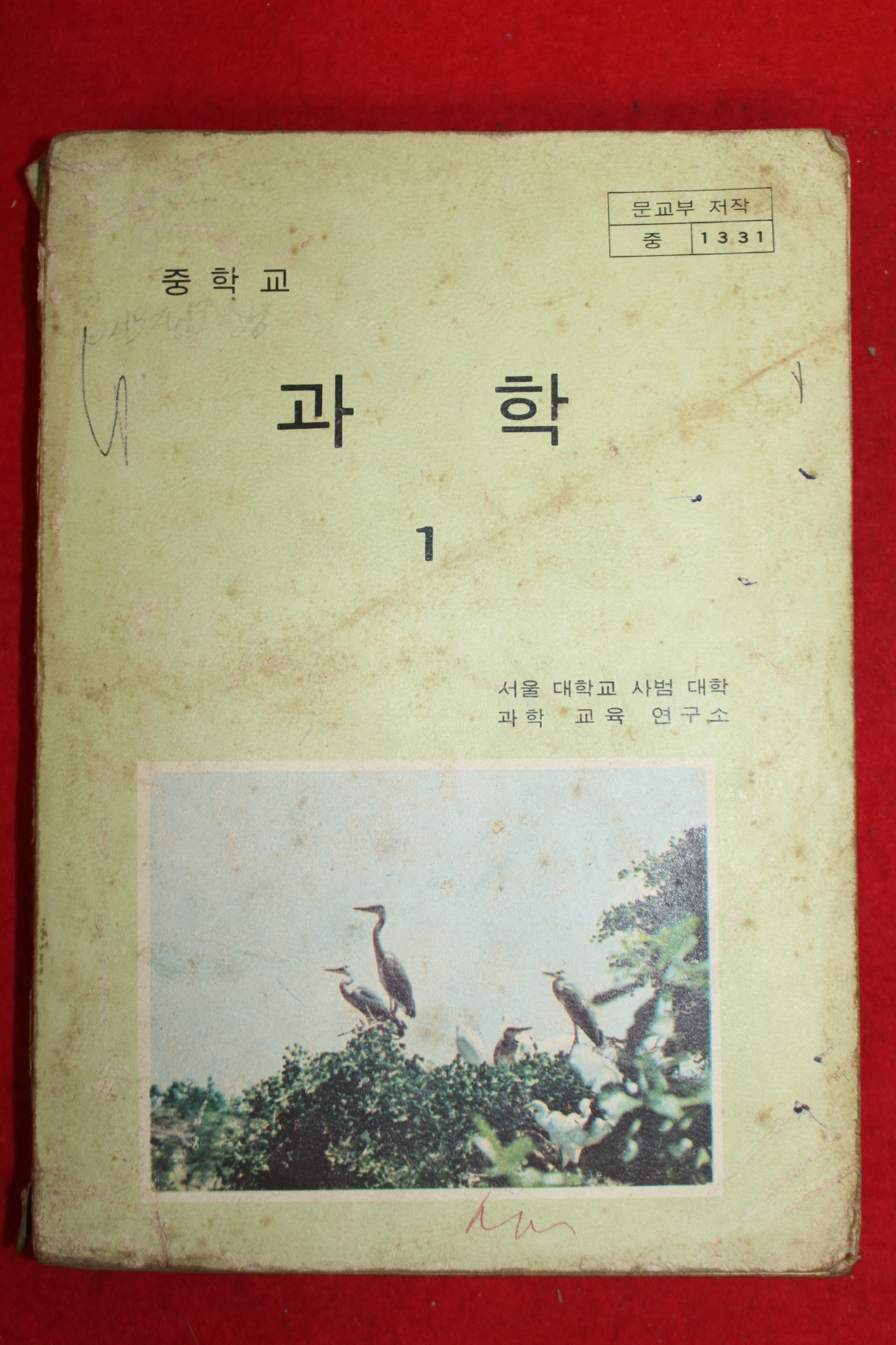 1981년 중학교 과학 1