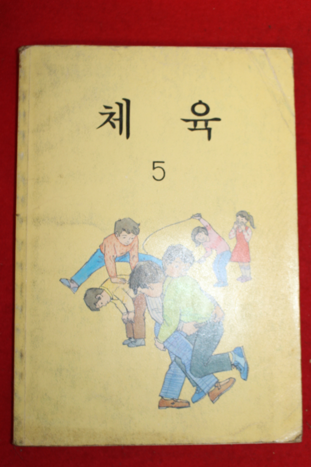 1995년 체육 5