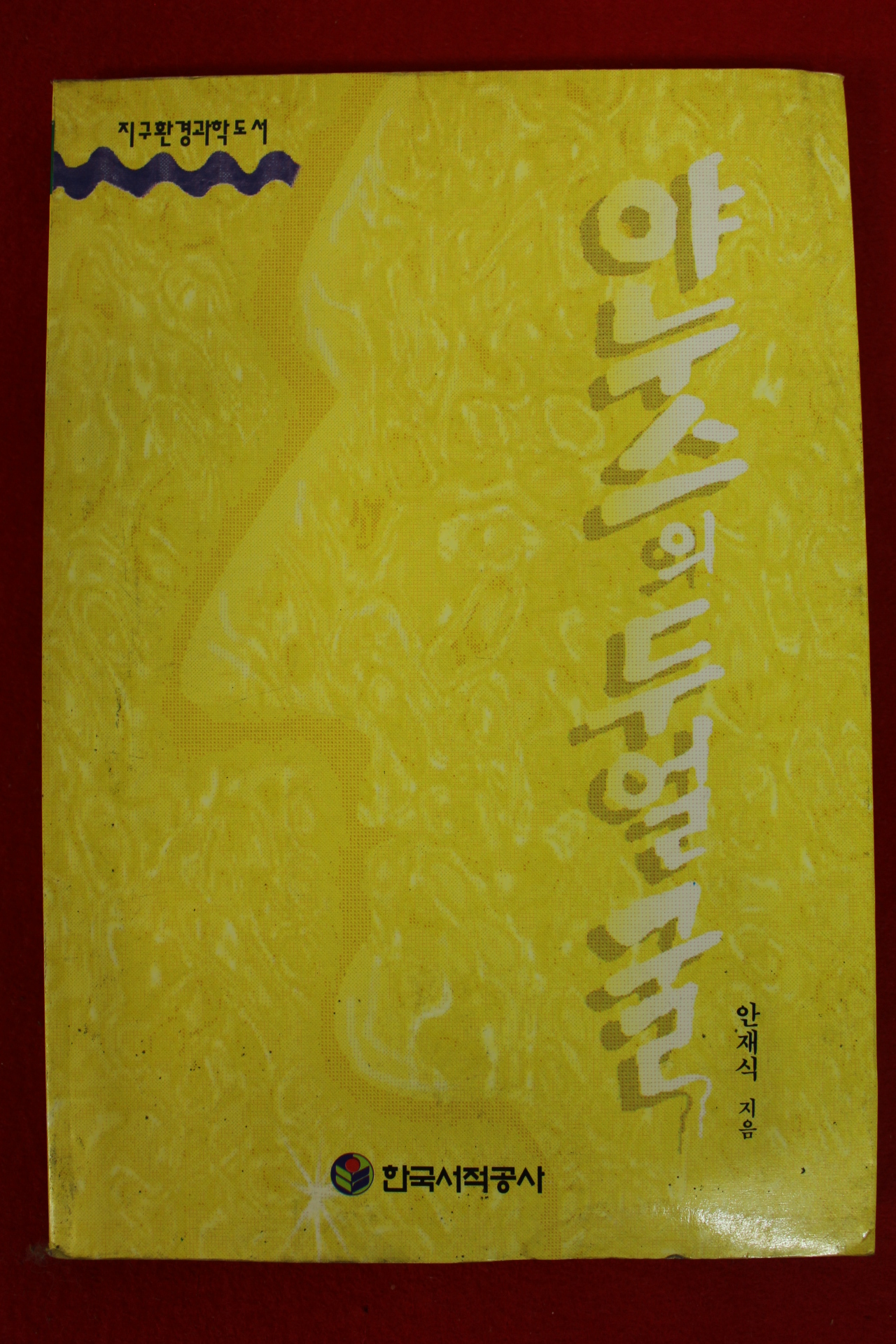 1996년 안재식 야누스의 두얼굴