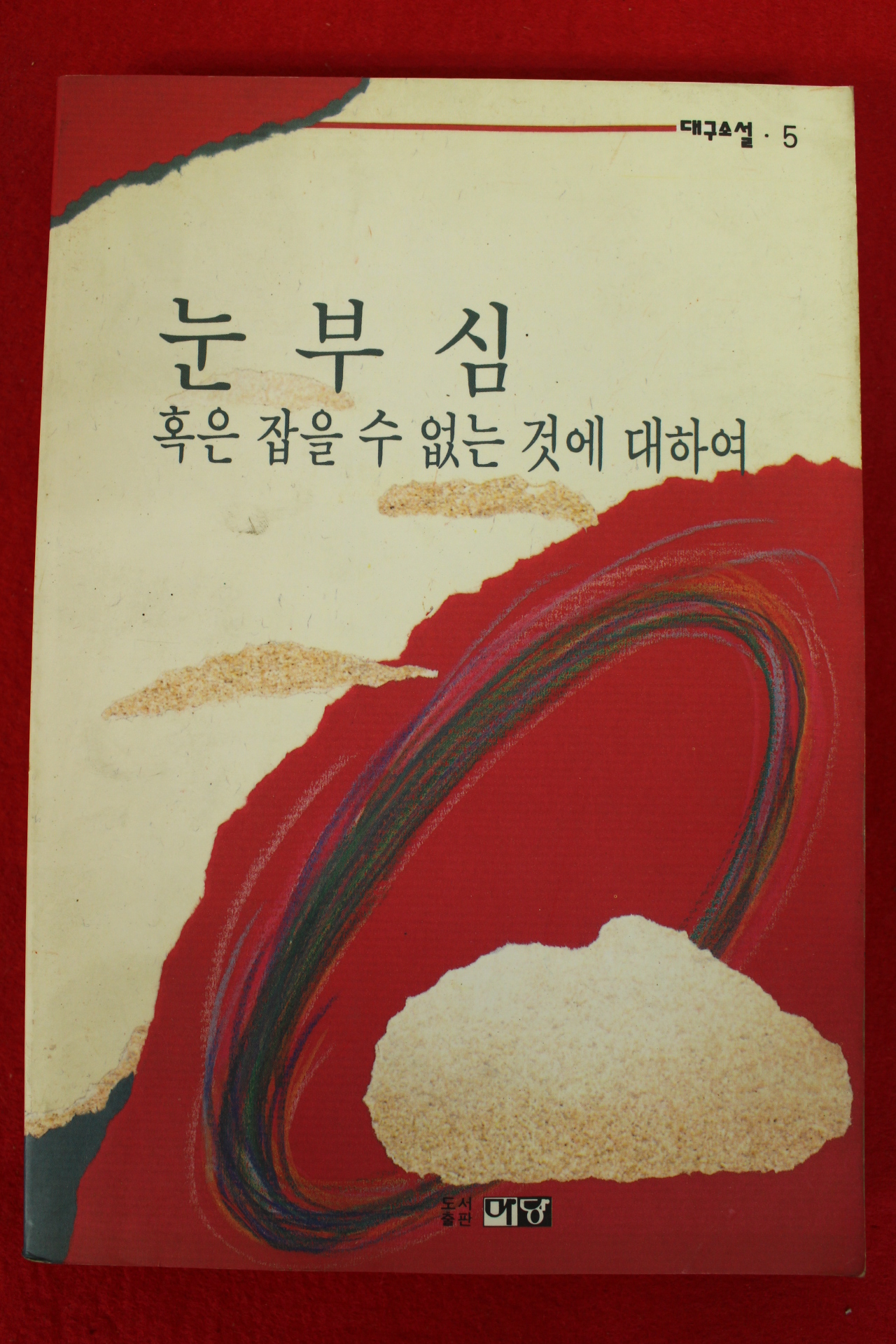 1994년 대구소설 눈부심 혹은 잡을수 없는것에 대하여