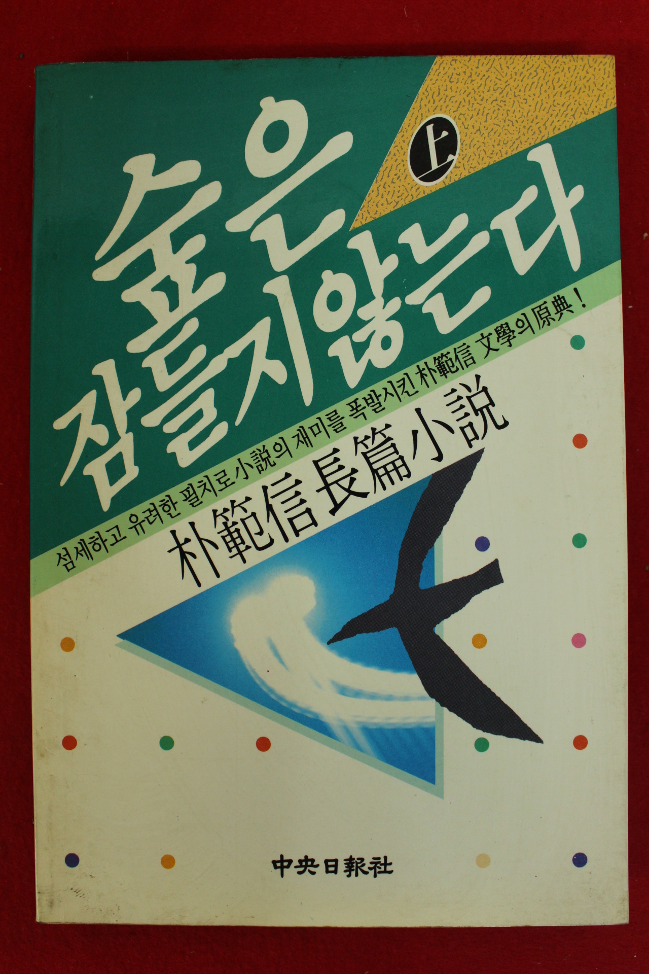 1989년 박범신 숲은 잠들지 않는다 상권