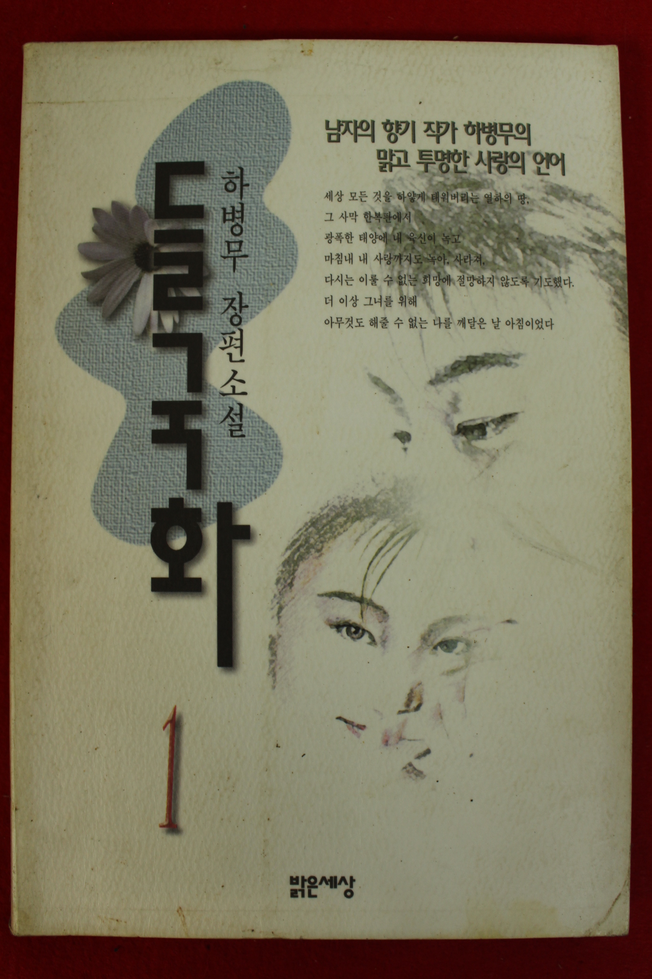 1997년 하병무장편소설 들국화 1