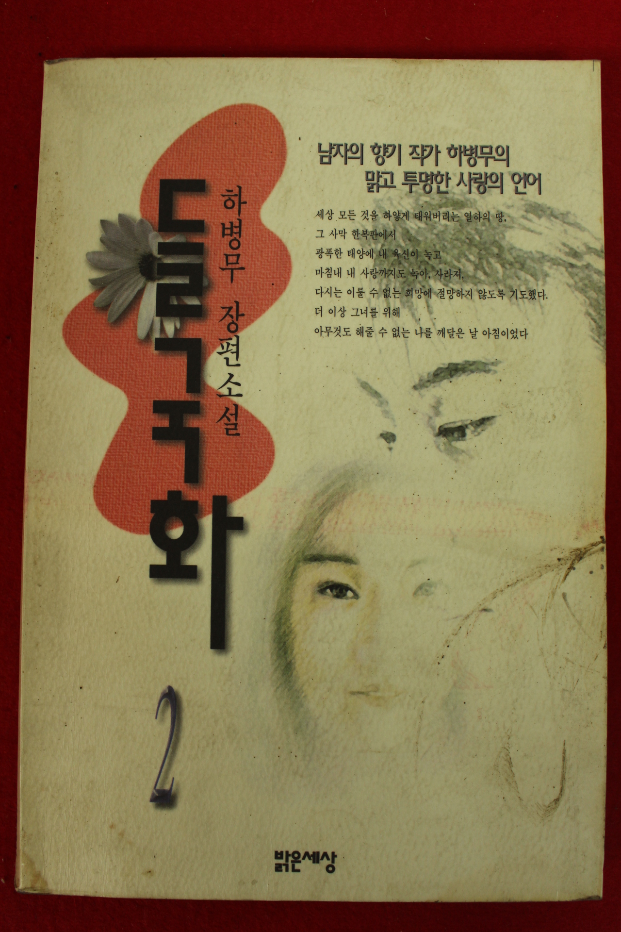 1997년 하병무장편소설 들국화 2