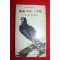 1975년 전설따라 삼천리