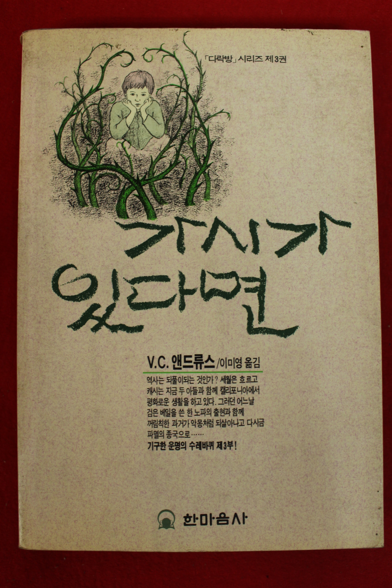 1993년 앤드류스 가시가 있다면