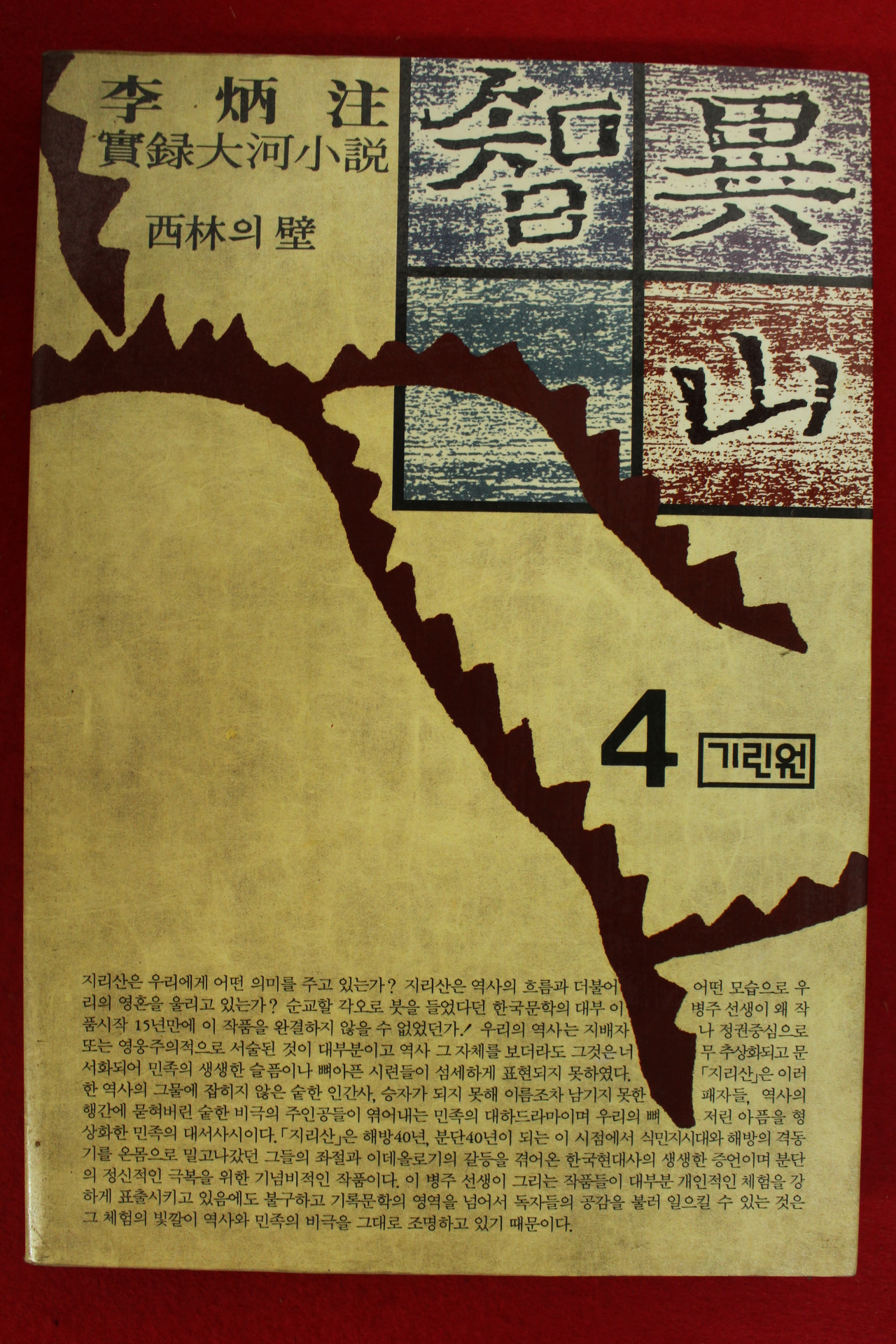 1991년 이병주 지리산 4