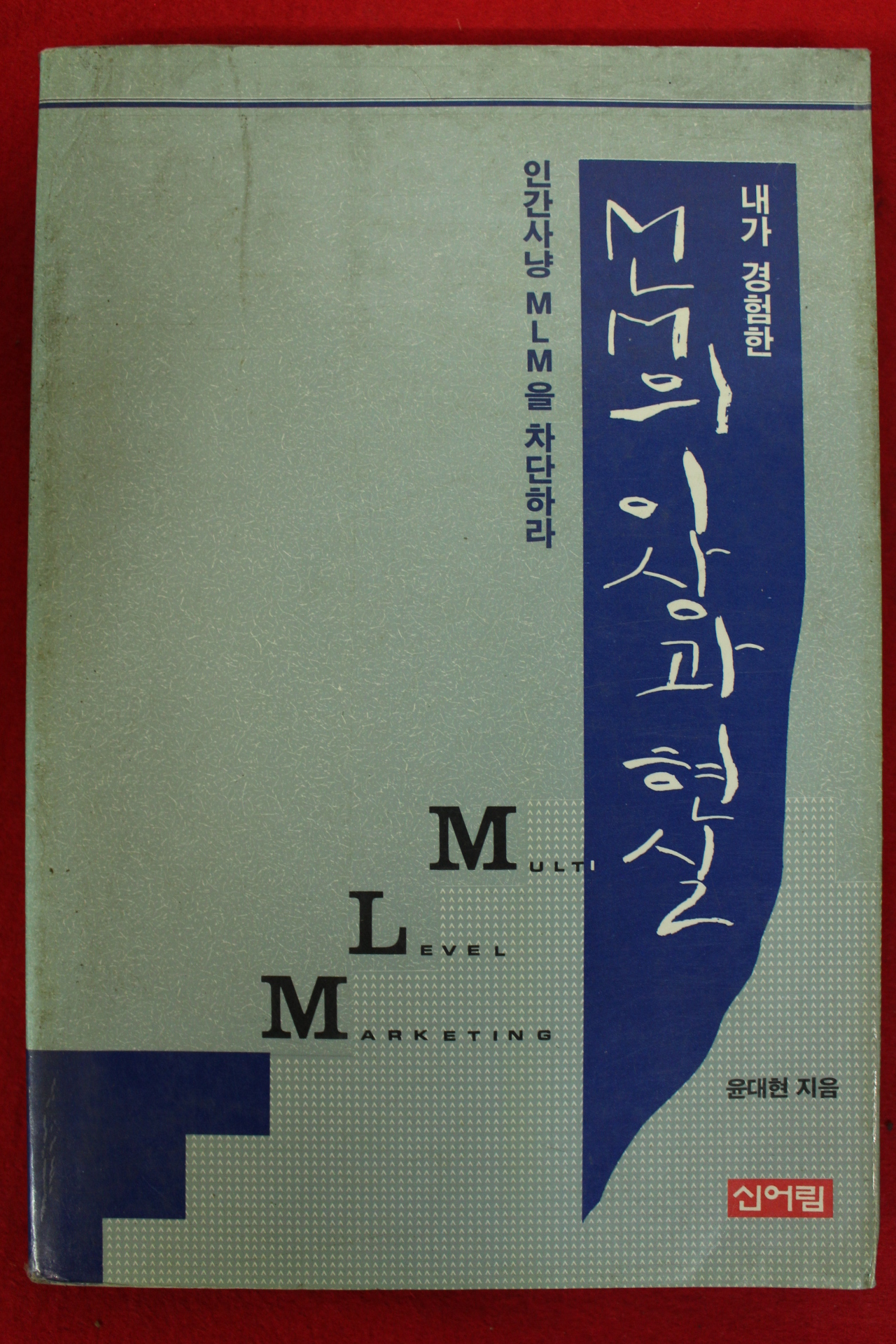 1993년 윤대현 MLM의 이상한 현실