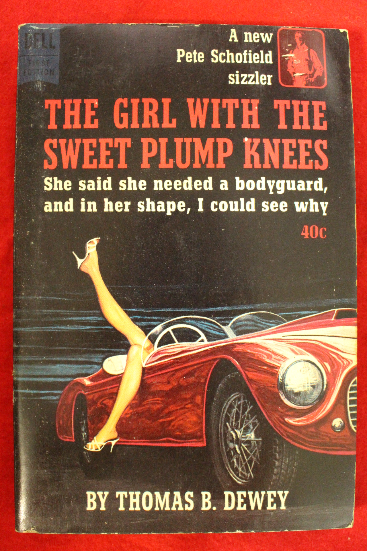 1963년 미국간행 THE GIRL WITH THE SWEET PLUMP KNEES