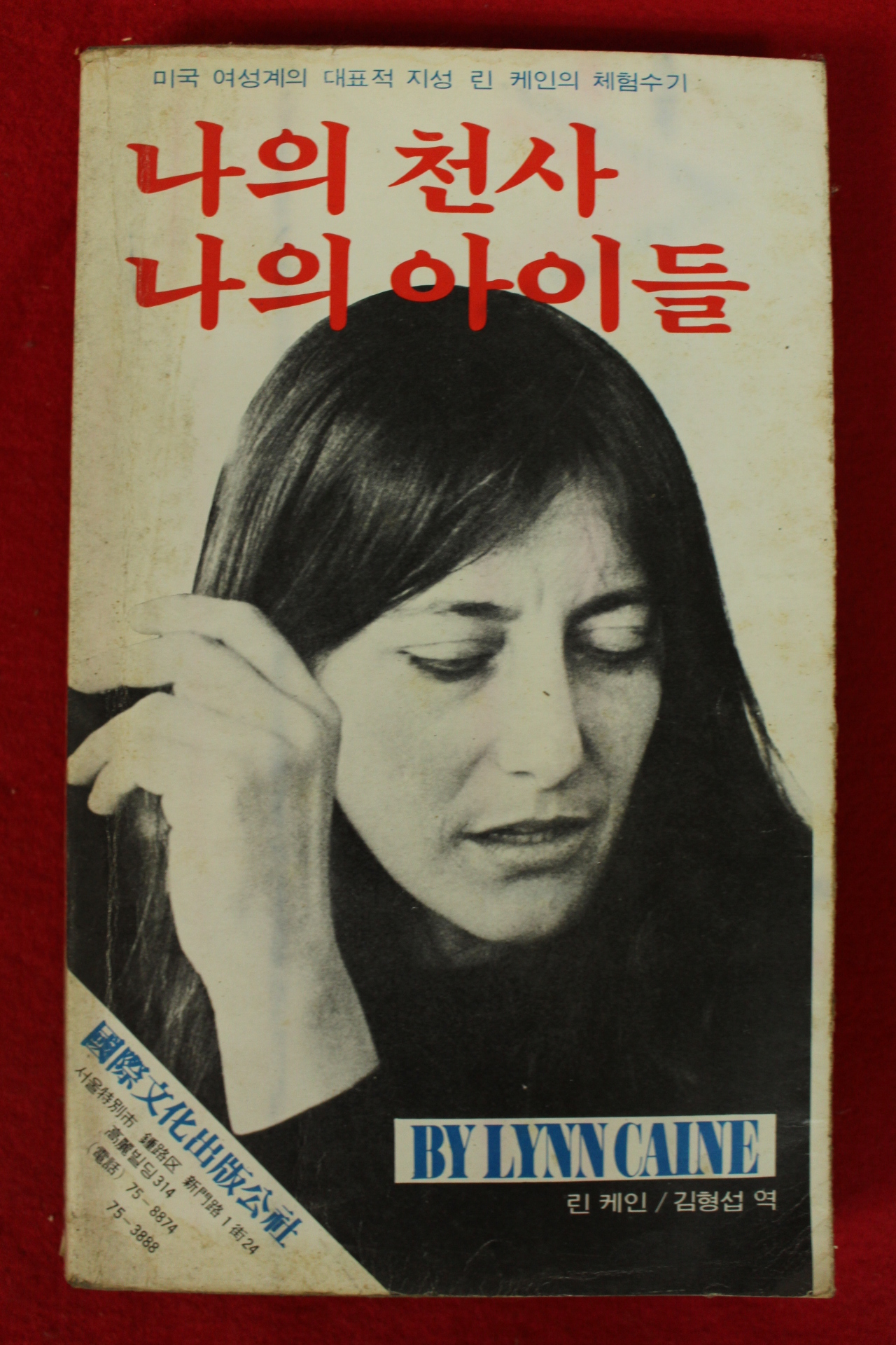 1981년 린 케인 김형섭역 나의 천사 나의 아이들
