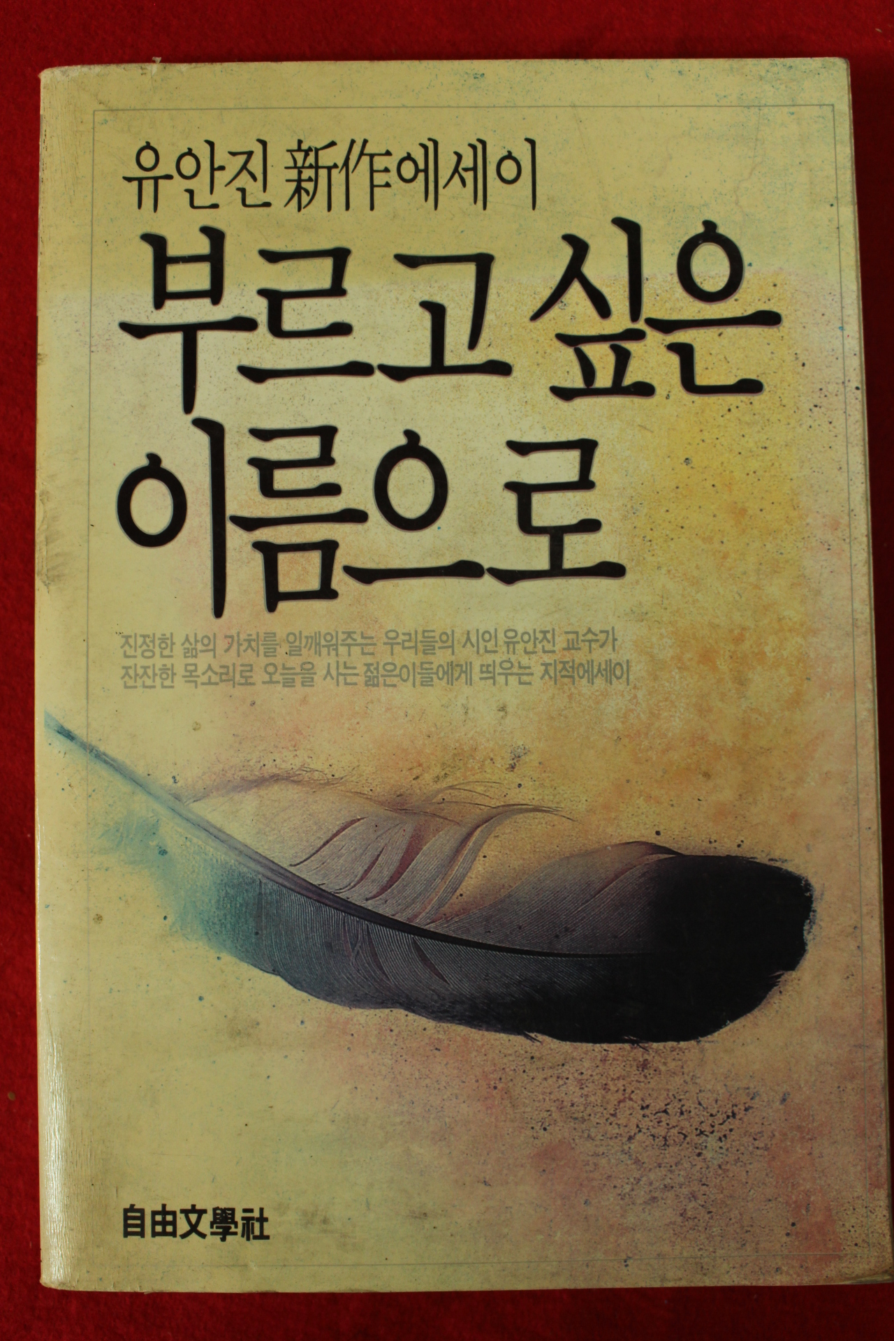 1986년초판 유안진 부르고 싶은 이름으로