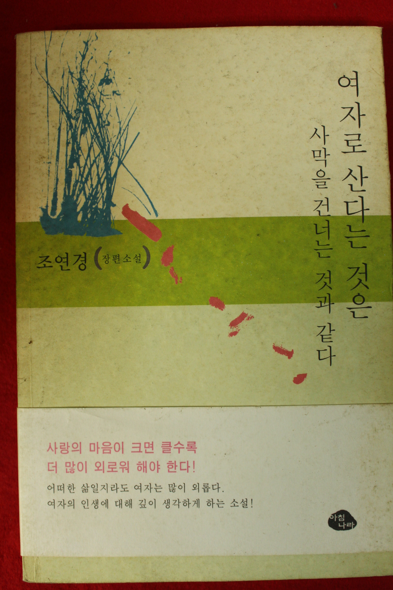 1999년초판 조연경장편소설 여자로 산다는 것은 사막을 건너는 것과 같다