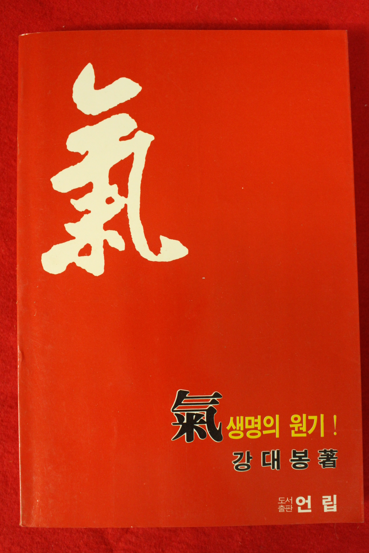 1989년초판 강대봉 기 생명의 원기