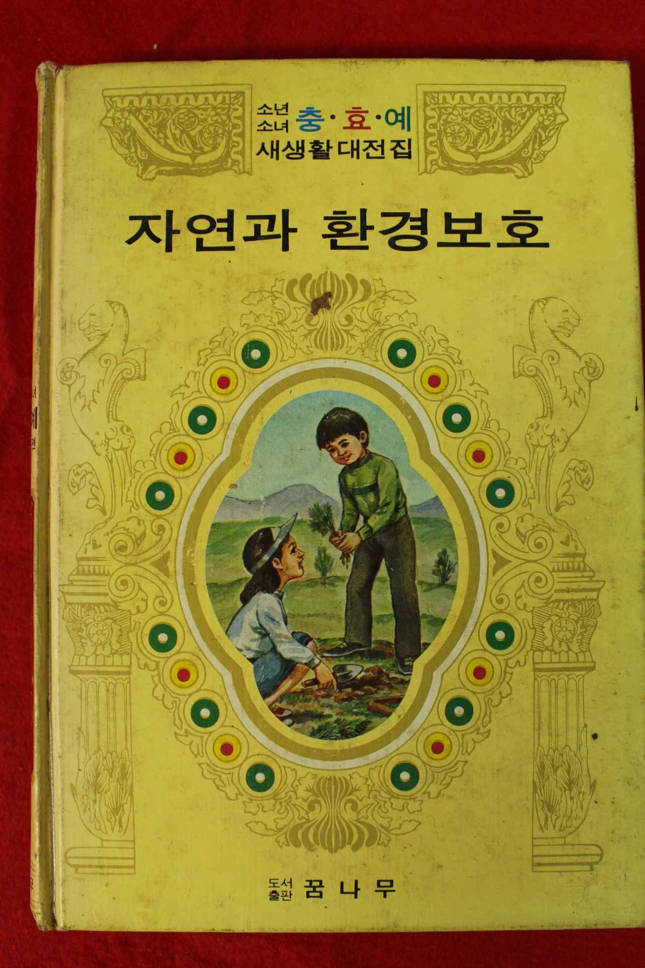 1982년 자연과 환경보호