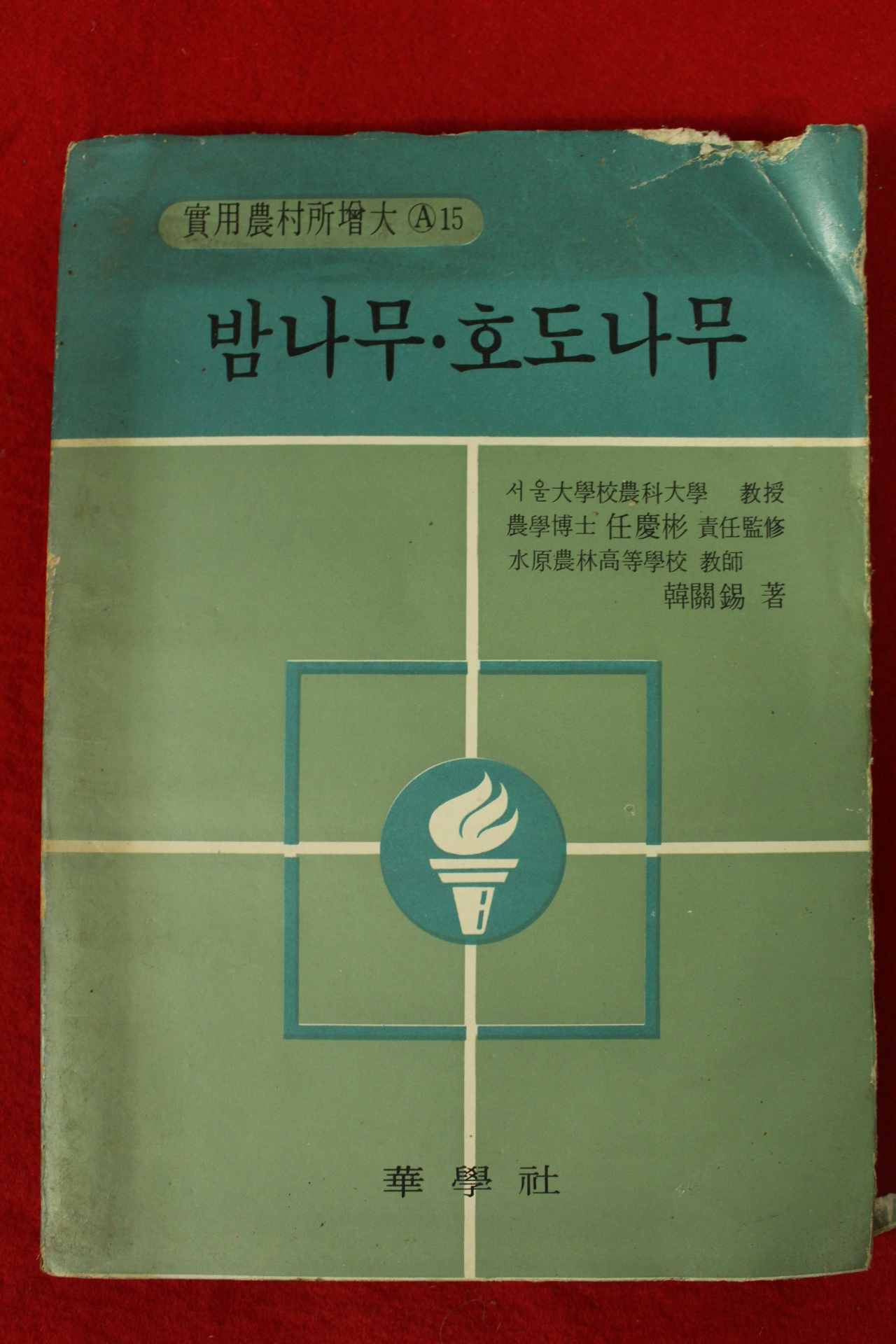 1974년 밤나무 호두나무