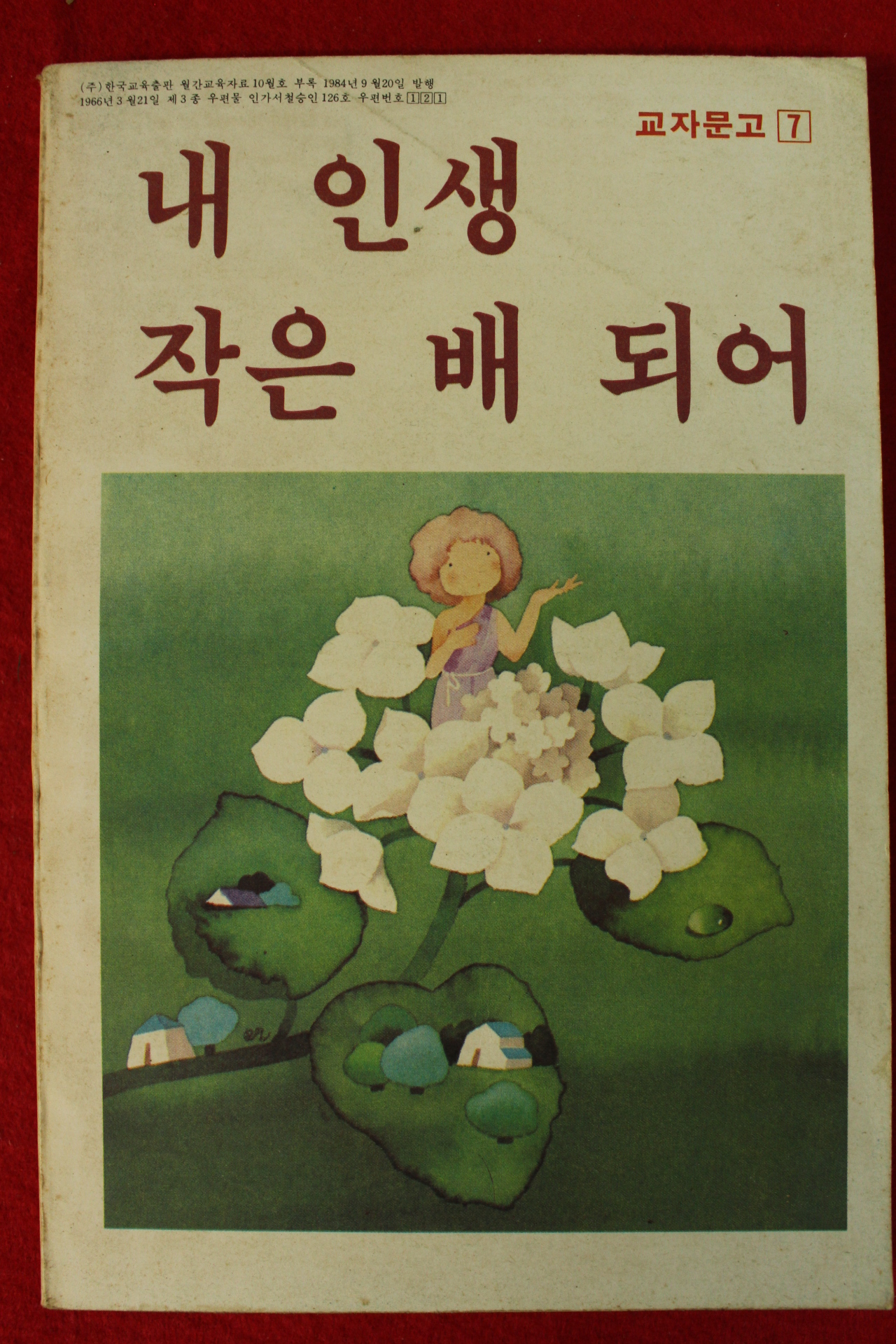 1984년 내인생 작은배 되어