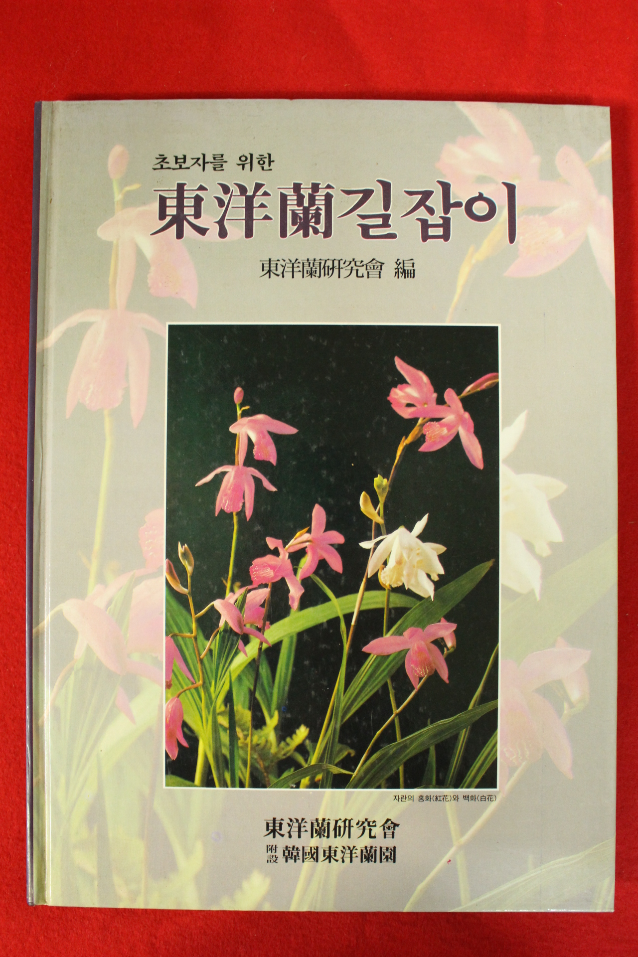 1994년초판 동양란길잡이