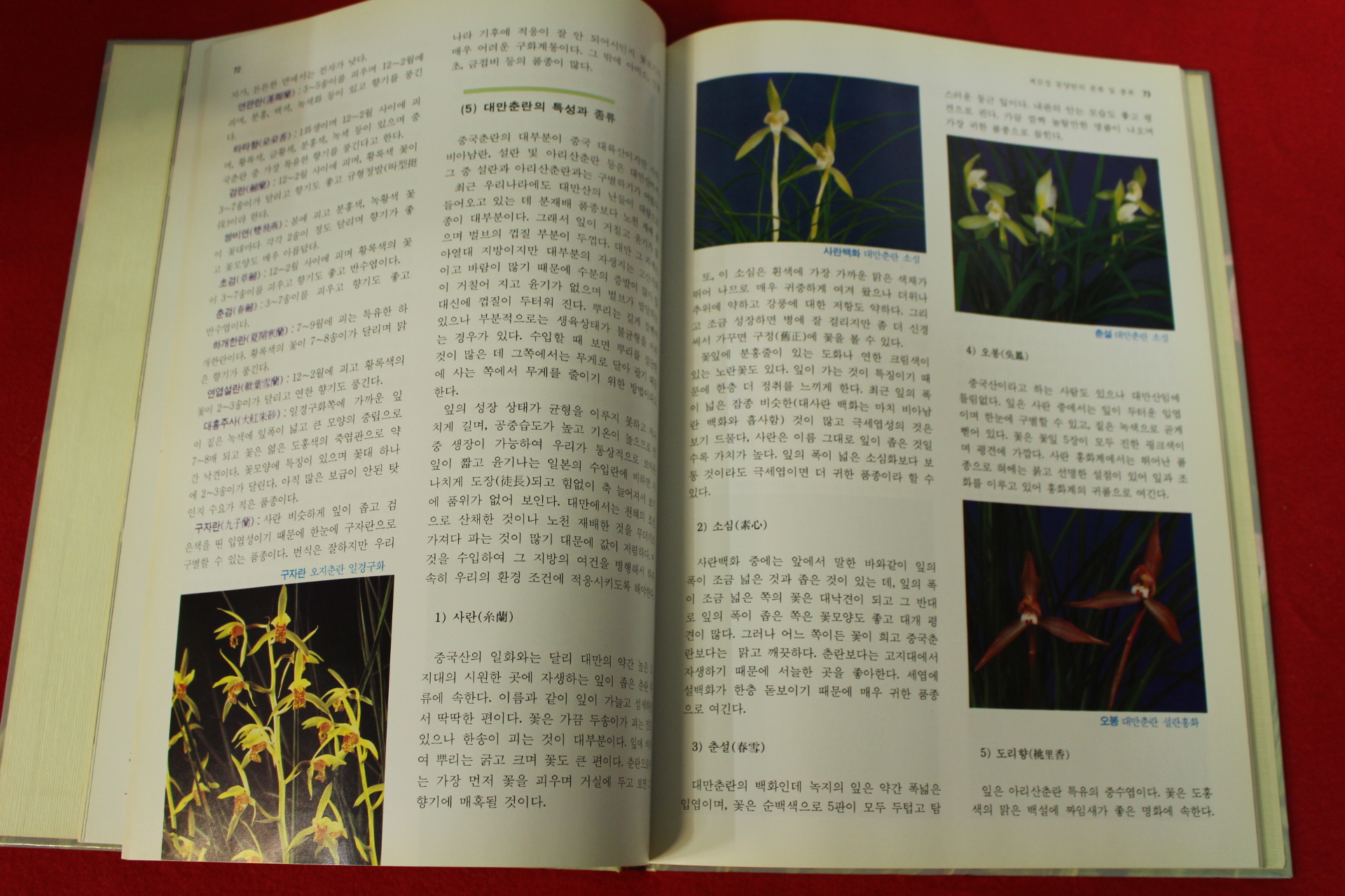 1994년초판 동양란길잡이