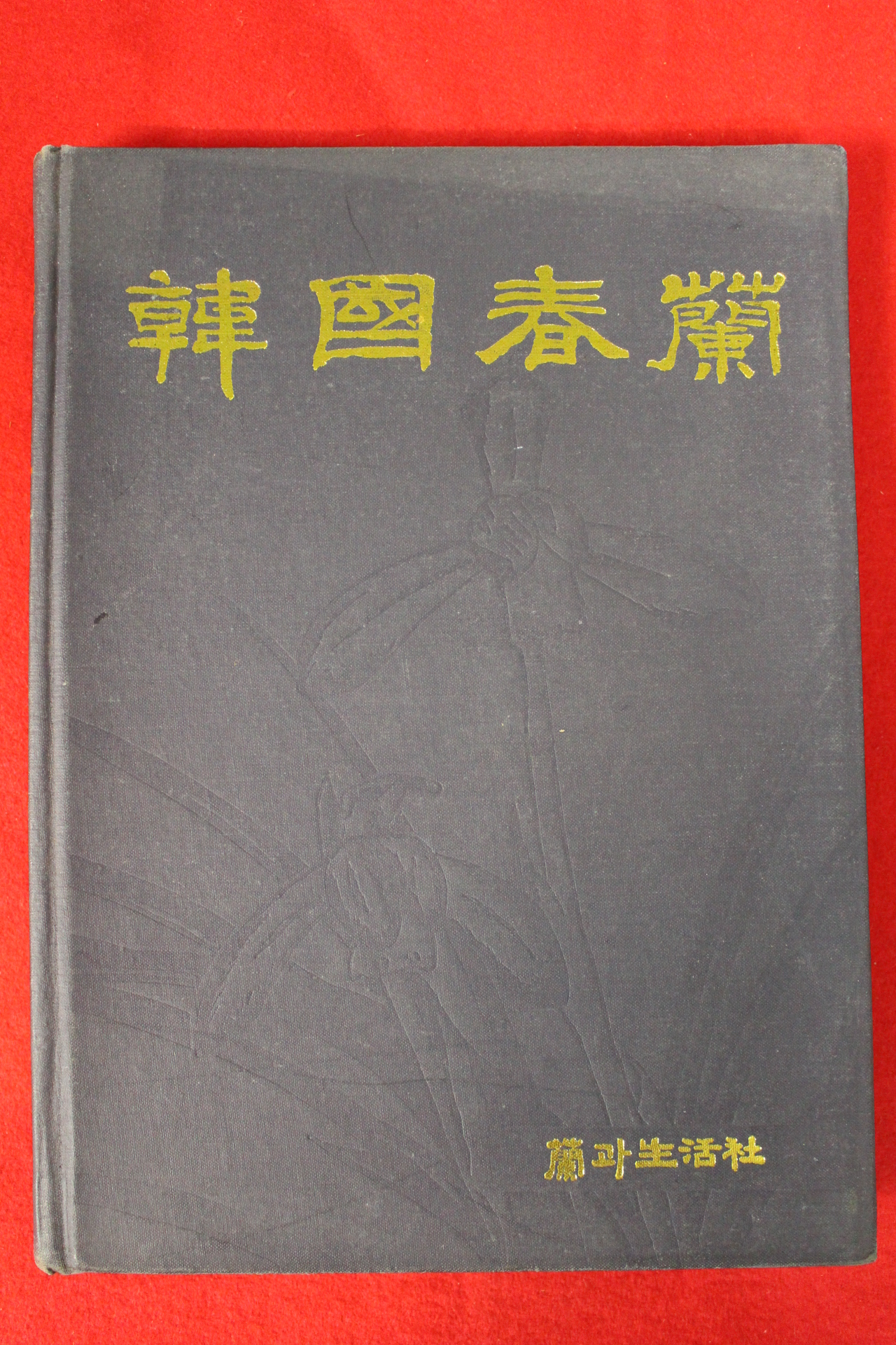 1988년 한국춘란