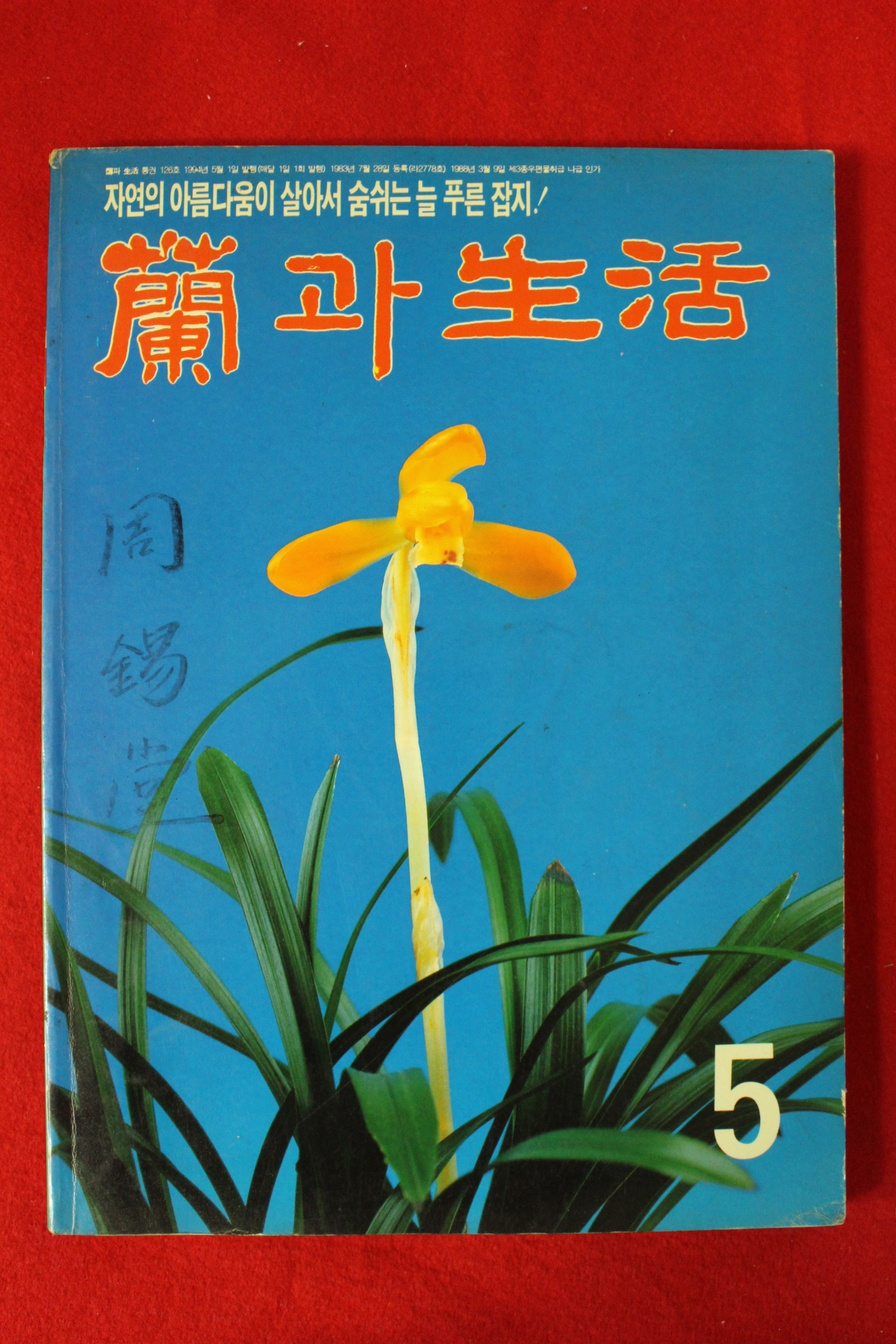 1994년 난과 생활 5월호