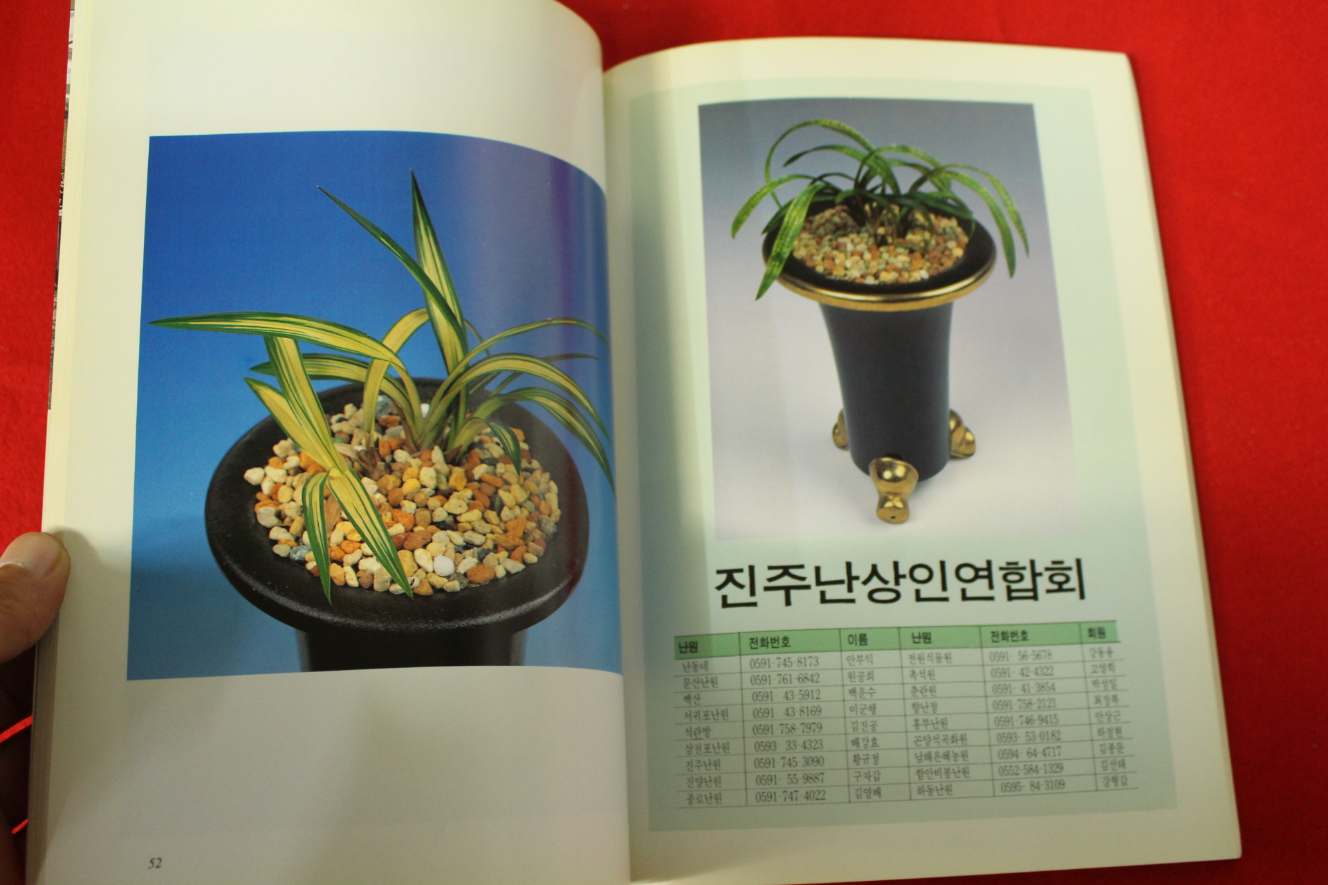 1994년 제1회 한국춘란 전국대회도록