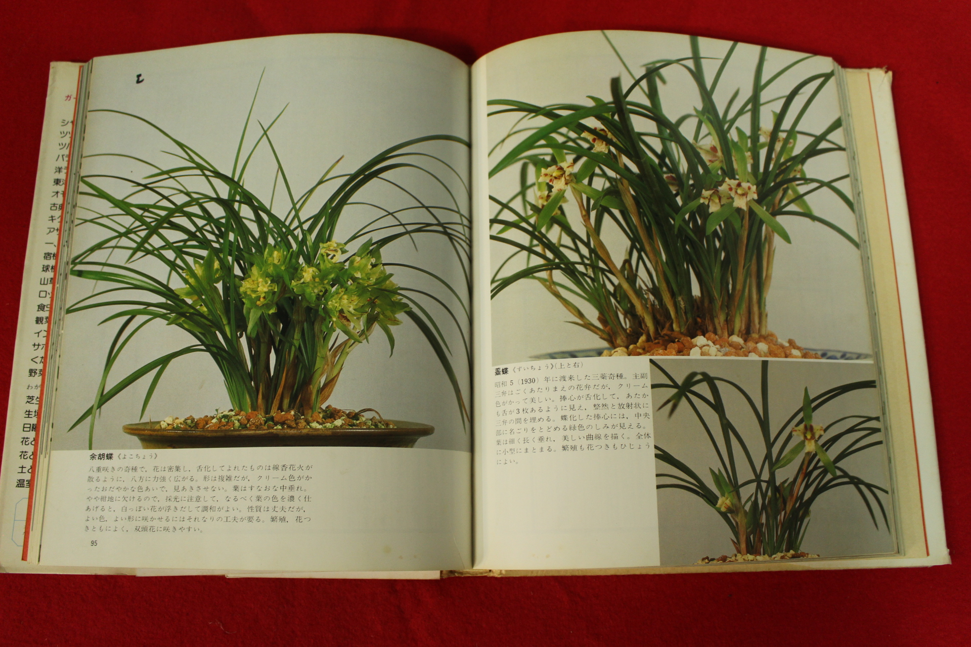 1980년 일본간행 중국난