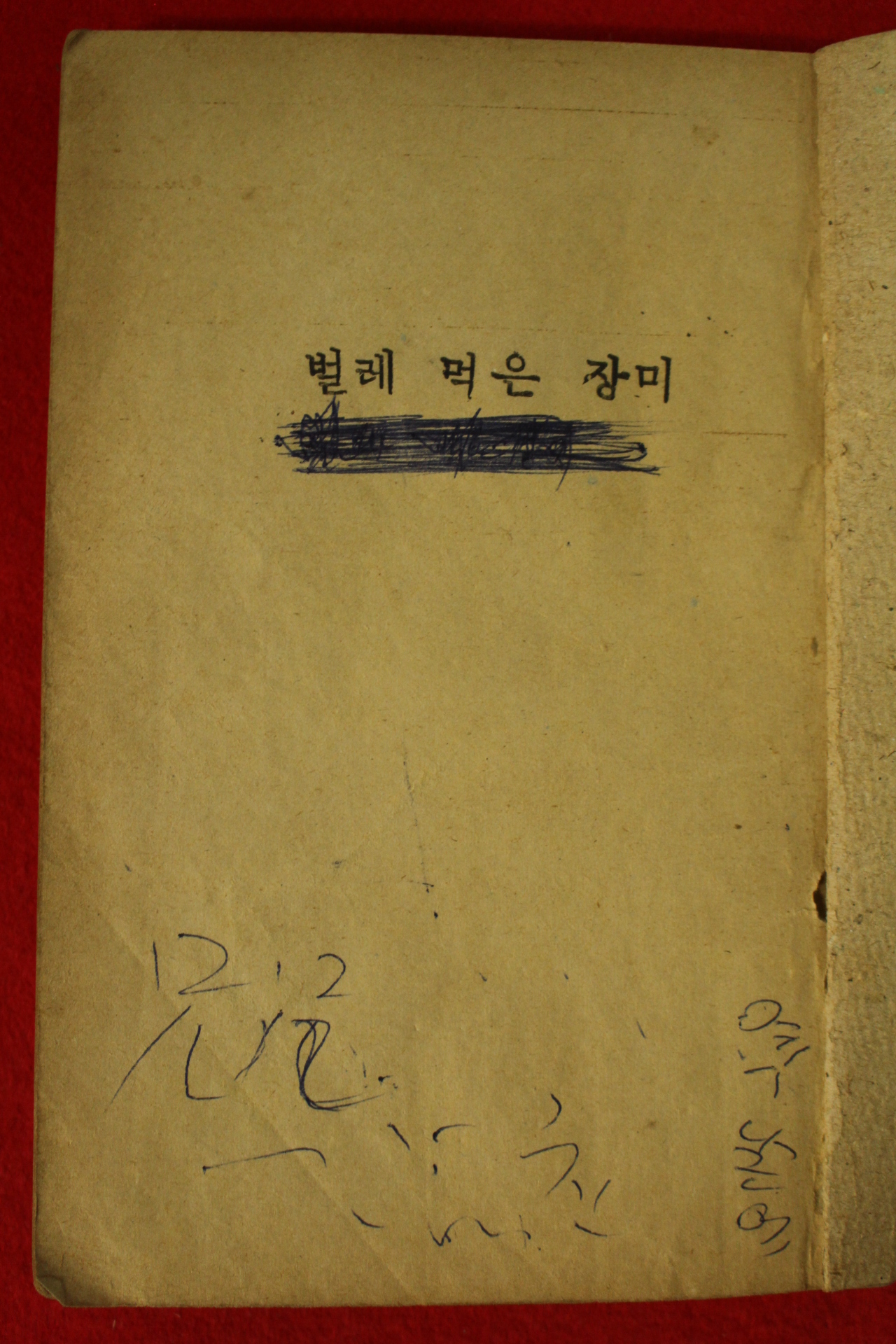 1971년 박일지 벌레 먹은 장미