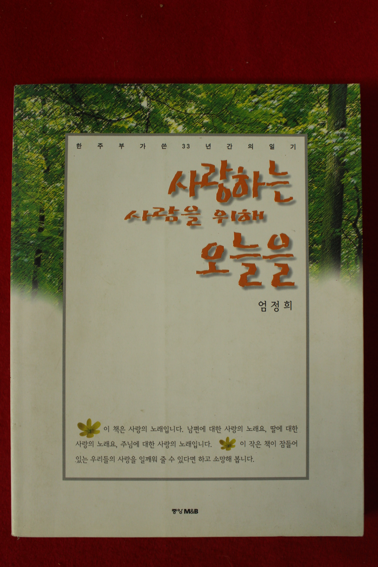 2000년 엄정희 사랑하는사람을 위해 오늘을