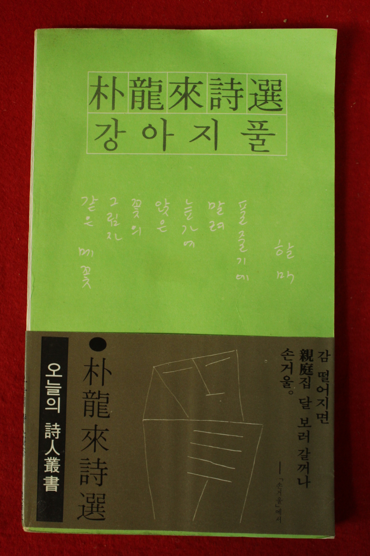 1981년 박용래시집 강아지풀