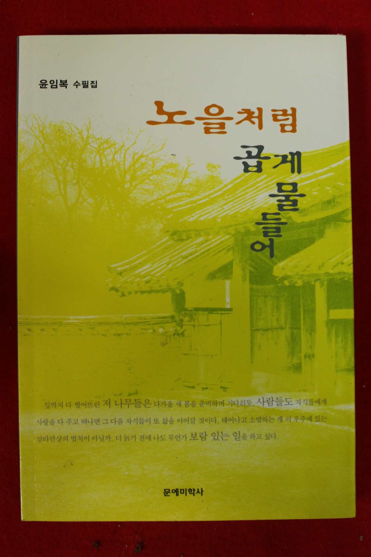2005년초판 윤임복수필집 노을처럼 곱게물들어(저자싸인본)