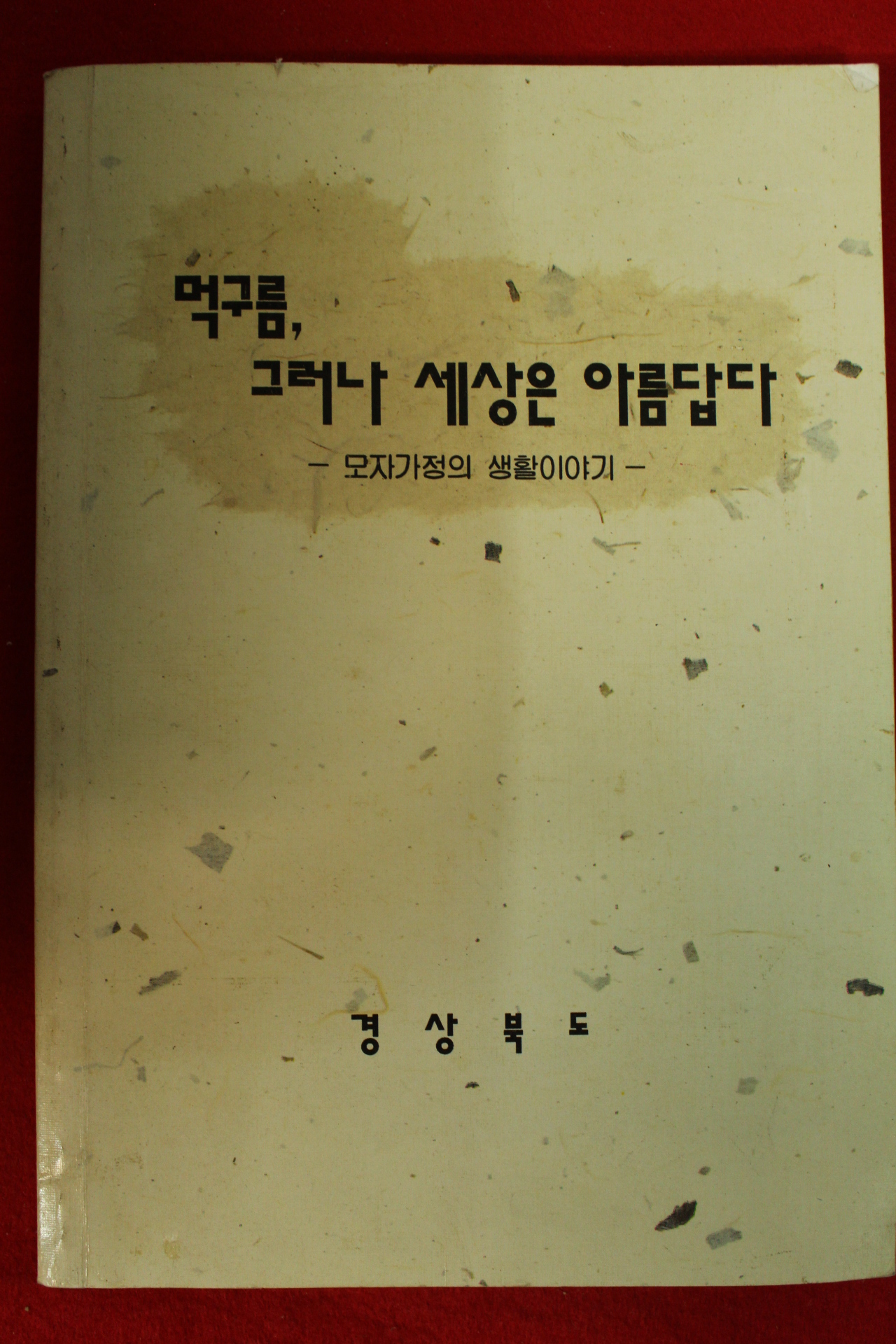 1993년 경상북도 모자가정의 생활이야기