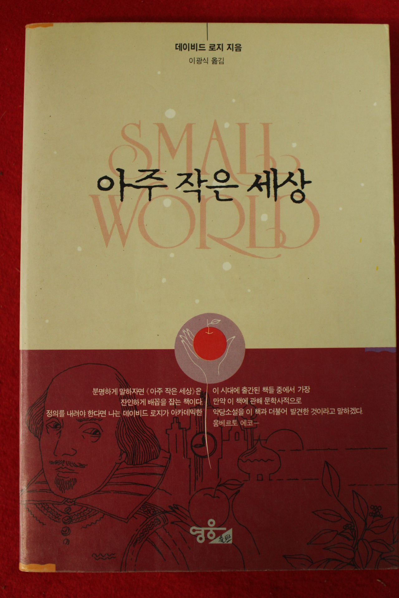 1991년초판 데이비드 로지 이광식옮김 아주작은 세상