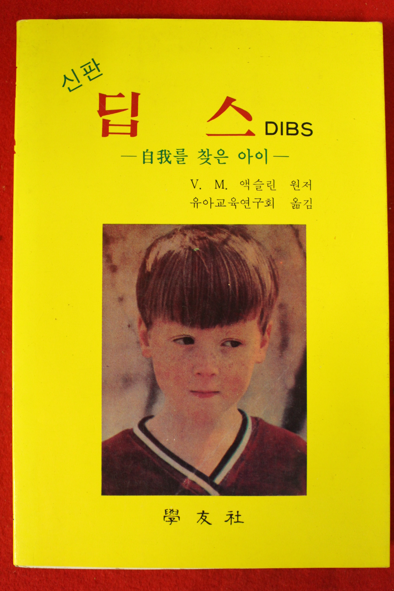 1989년 신판 딥스 자아를 찾는 아이