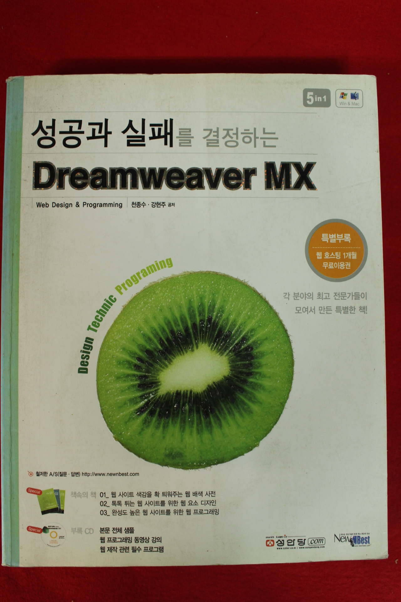 2003년 Dreamweaver MX