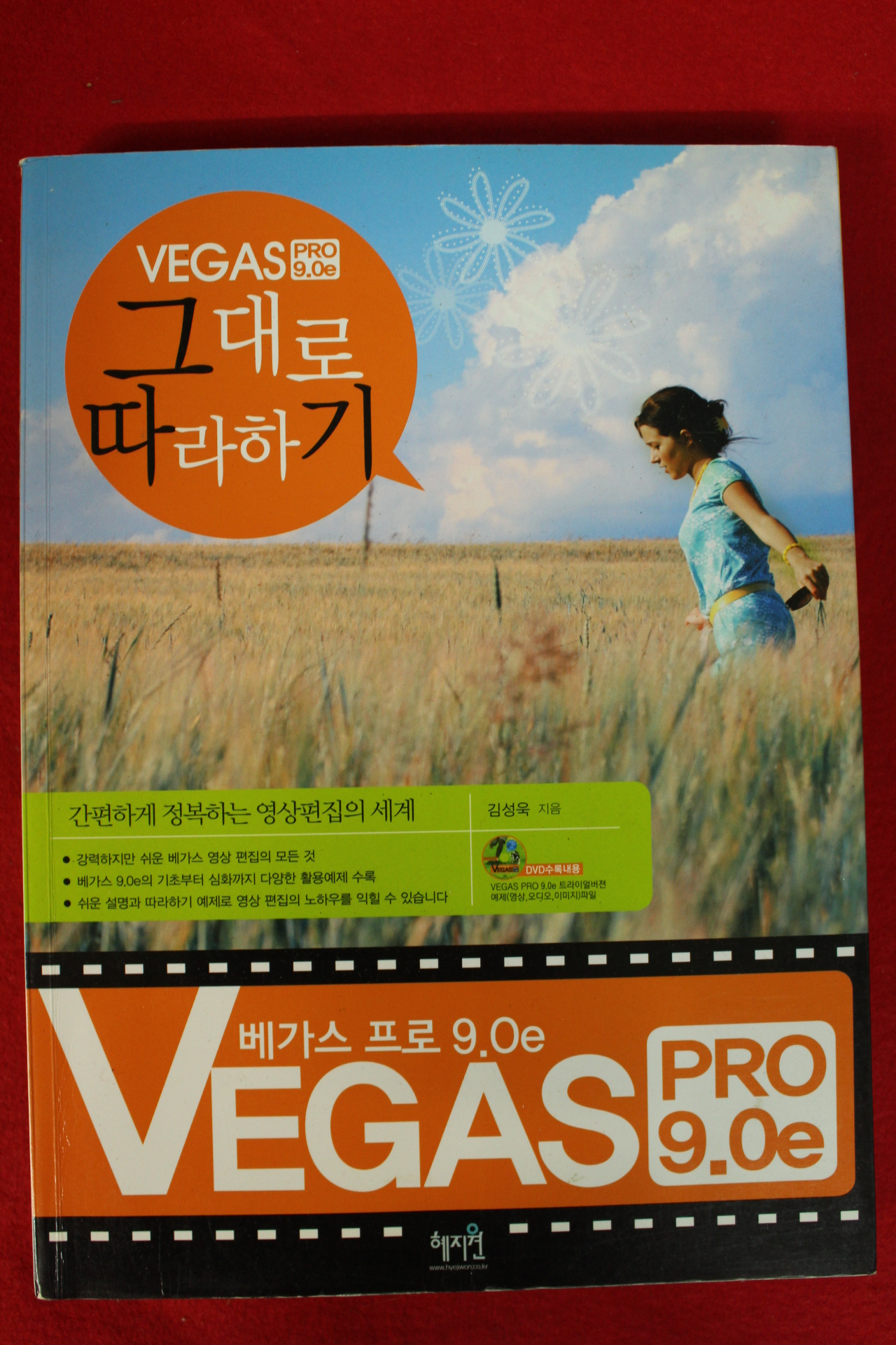 2010년 김성욱 베가스프로9.0e