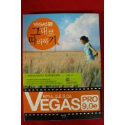2010년 김성욱 베가스프로9.0e