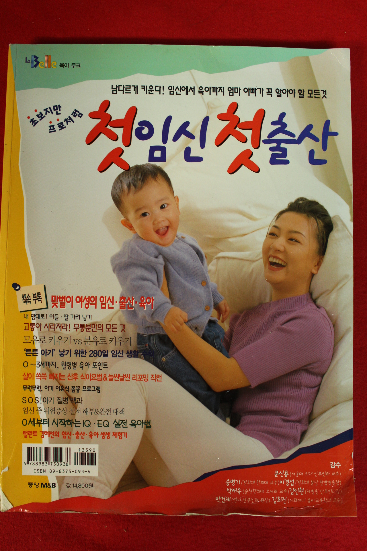 2000년 첫임신 첫출산