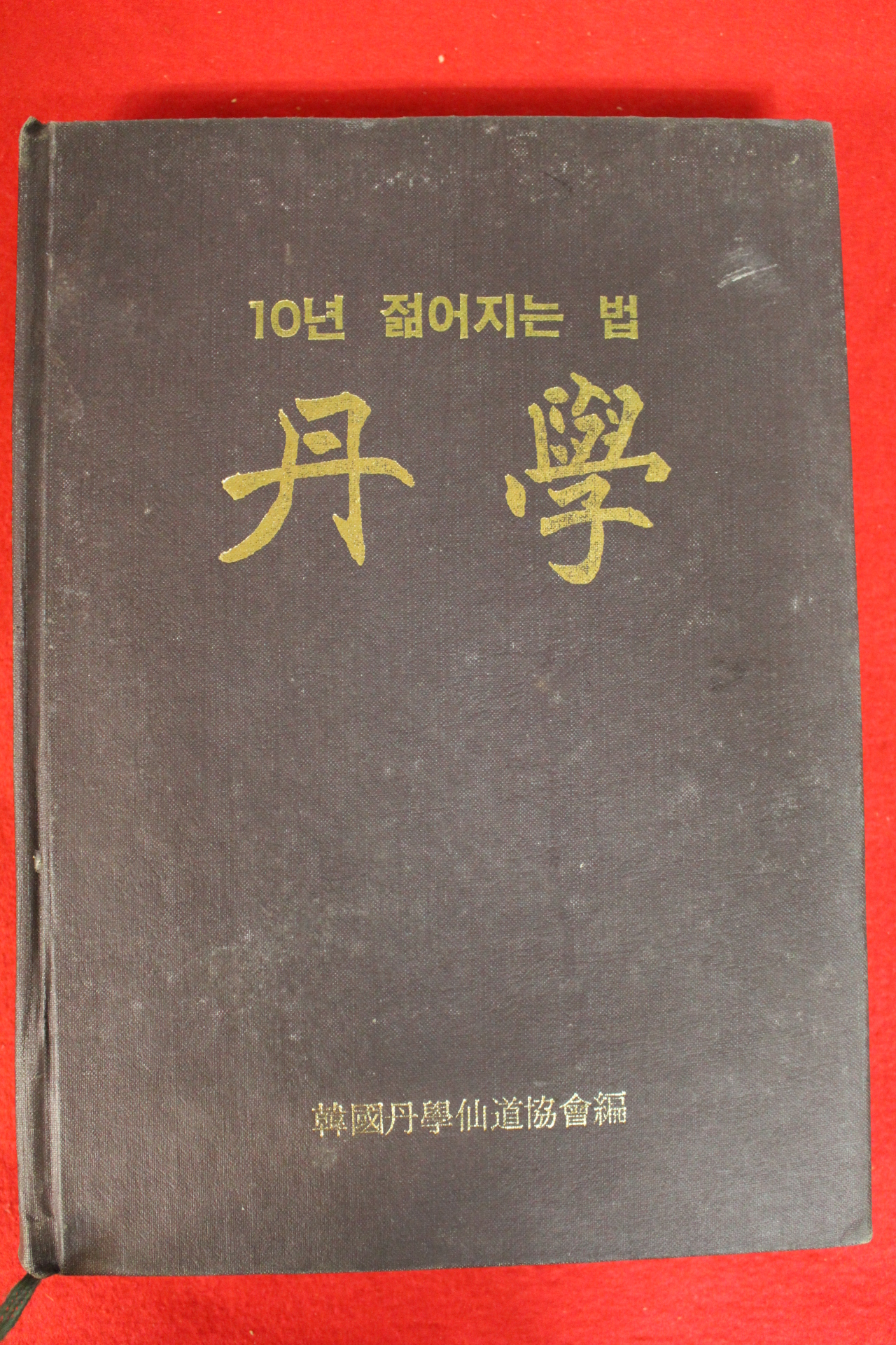 1989년 한국단학선도협회 단학(丹學)