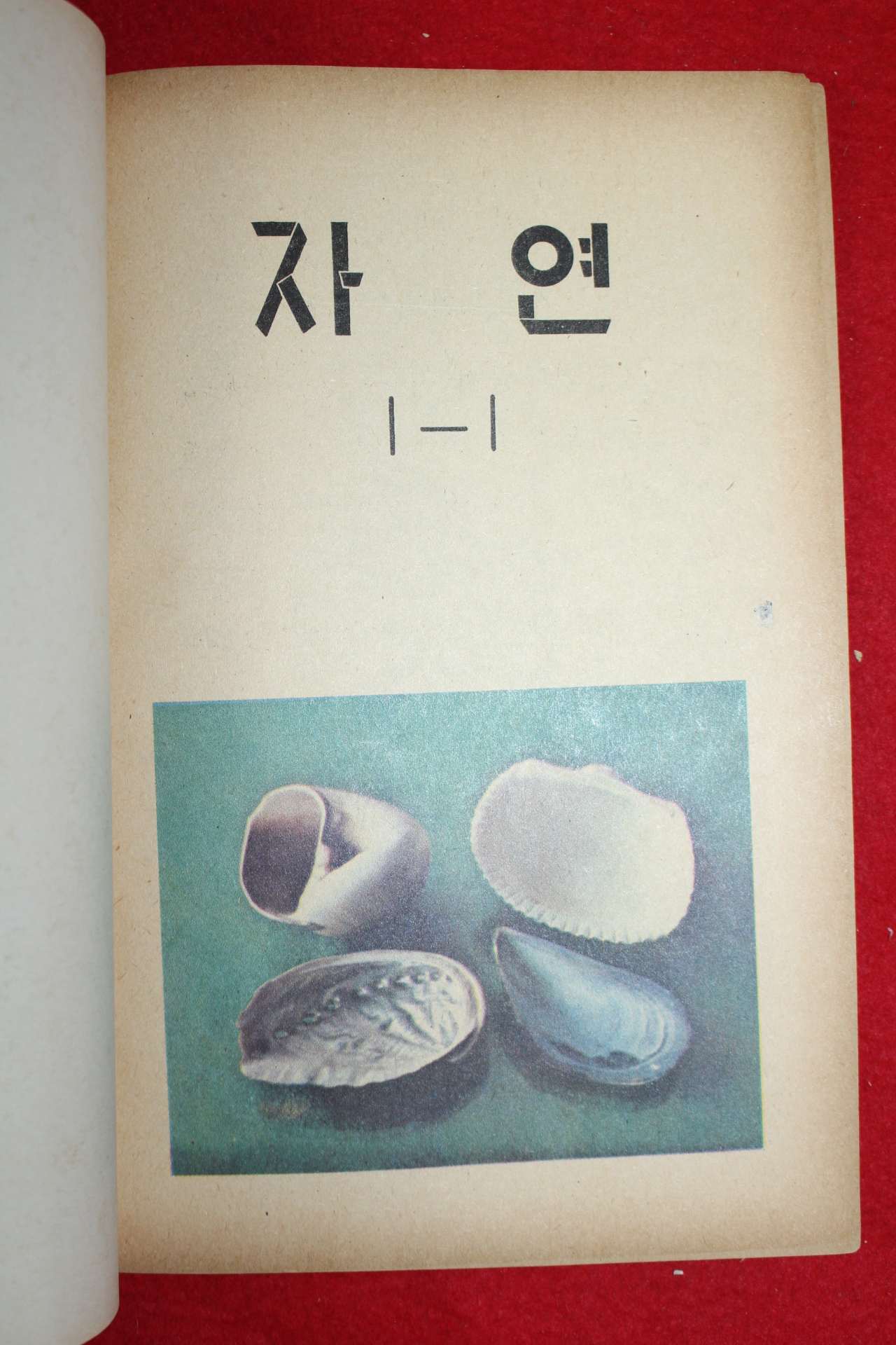 1974년,75년 국민학교 자연1-1 에서 6-2 까지 전권 12책