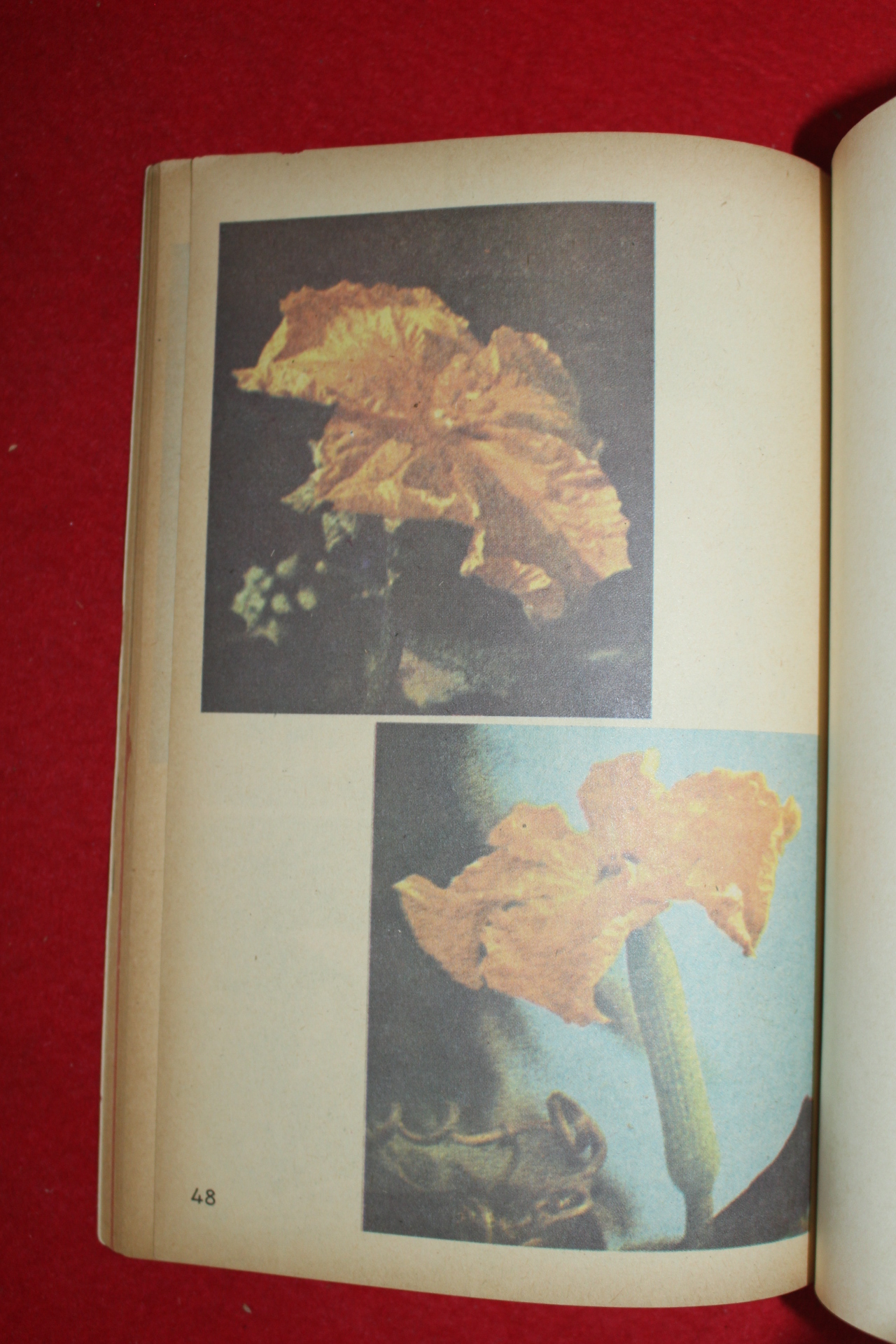 1974년,75년 국민학교 자연1-1 에서 6-2 까지 전권 12책