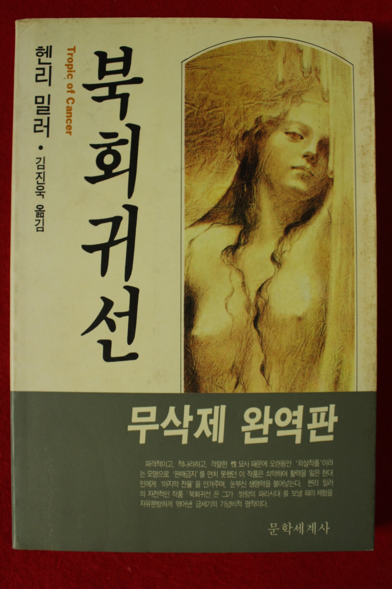 1991년 헨리밀러 김진욱옮김 북회귀선